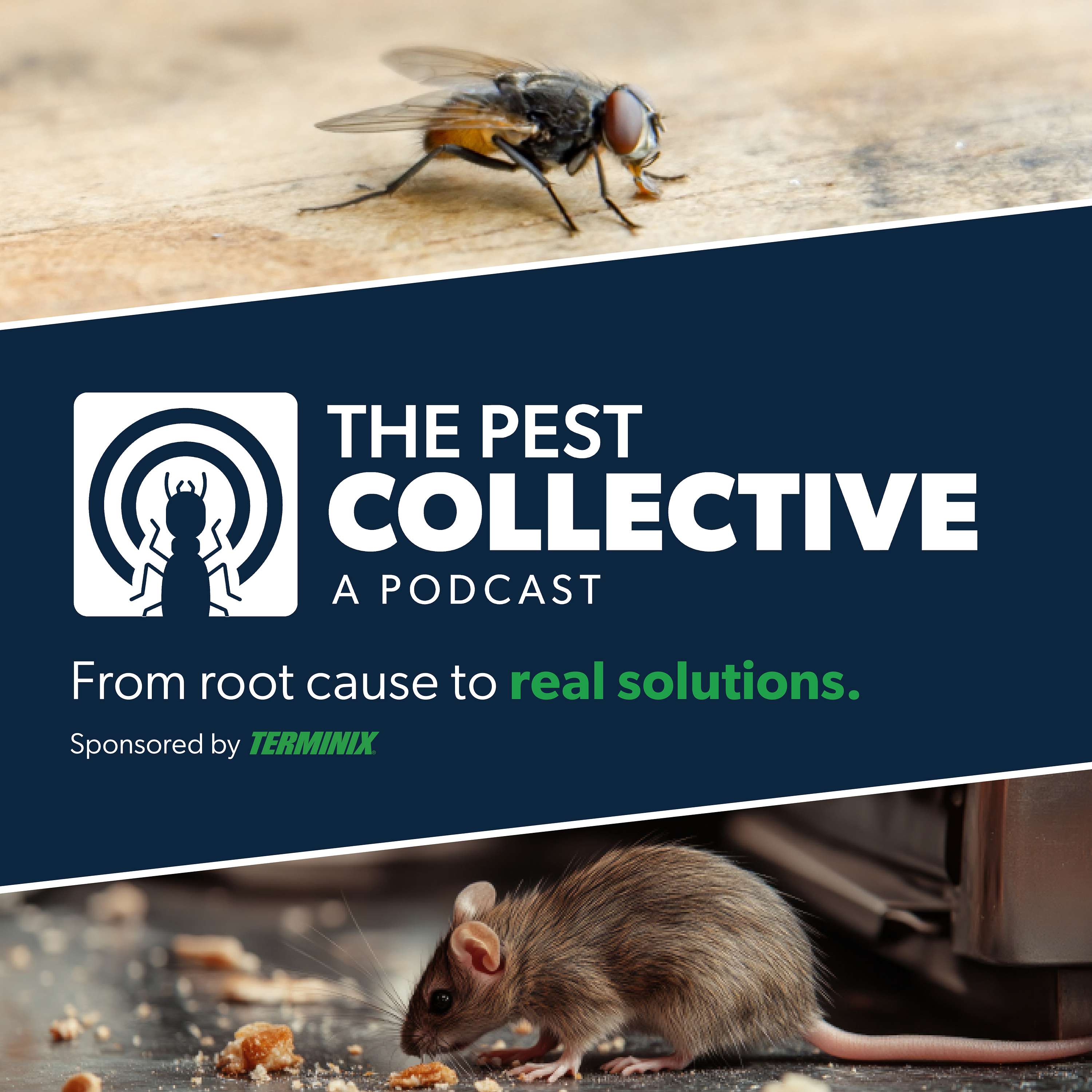 The Pest Collective