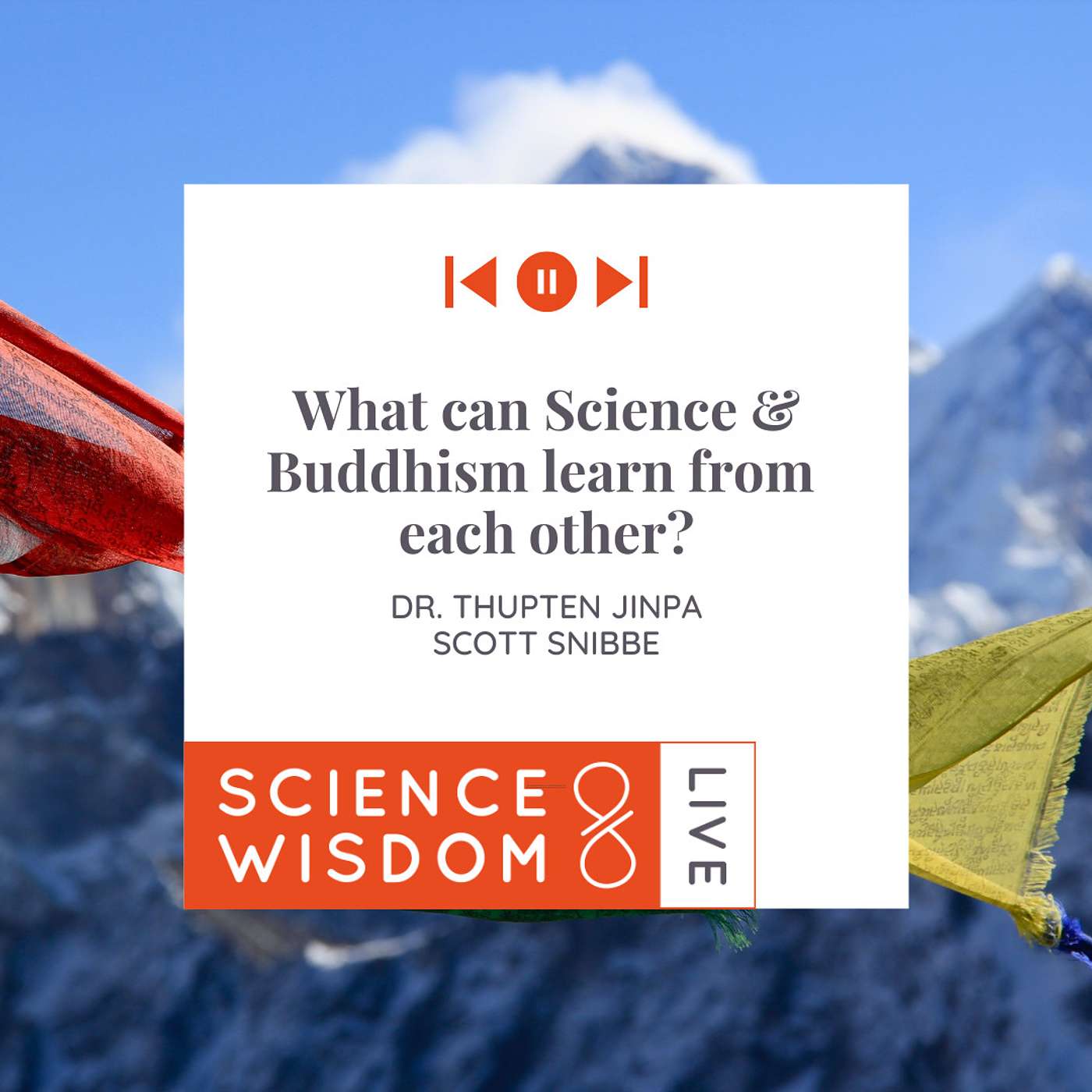 Dr. Thupten Jinpa on What Can Science and Buddhism Learn from Each Other? episode artwork