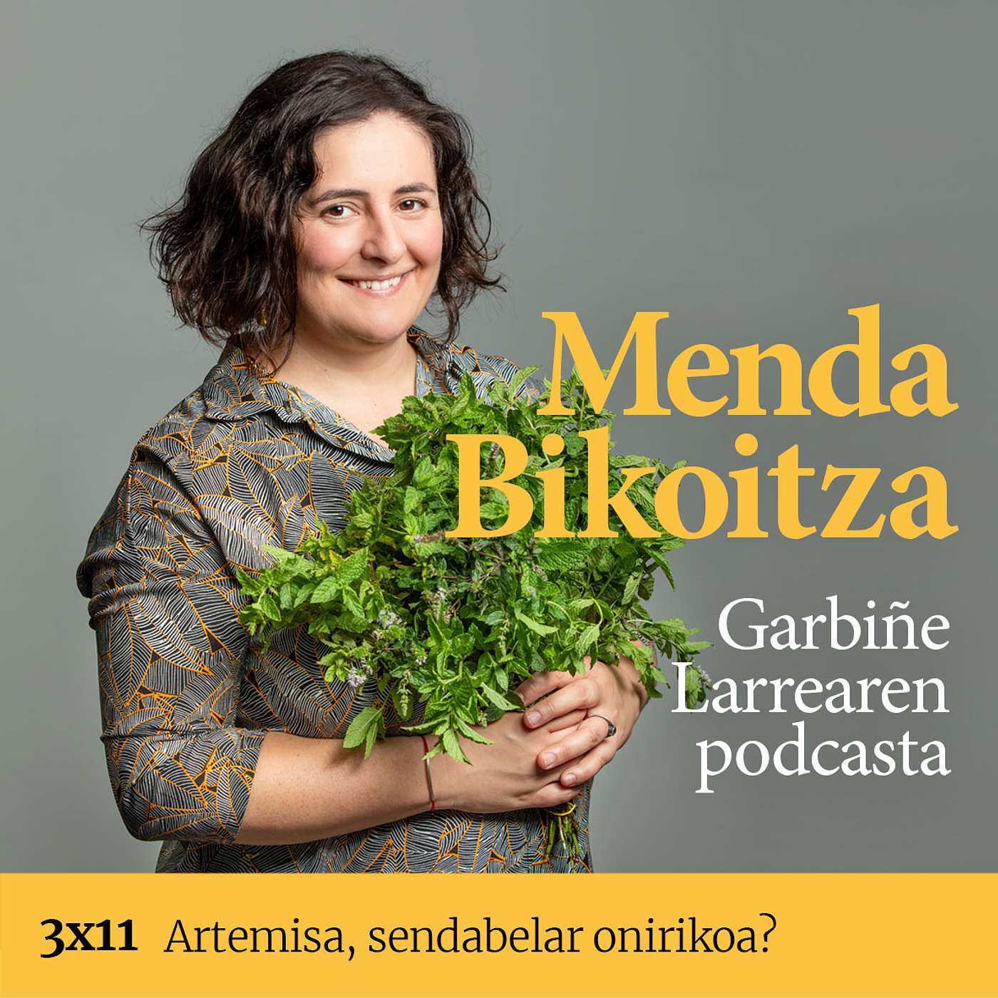 Menda Bikoitza 3x11: Artemisa, sendabelar onirikoa? episode artwork