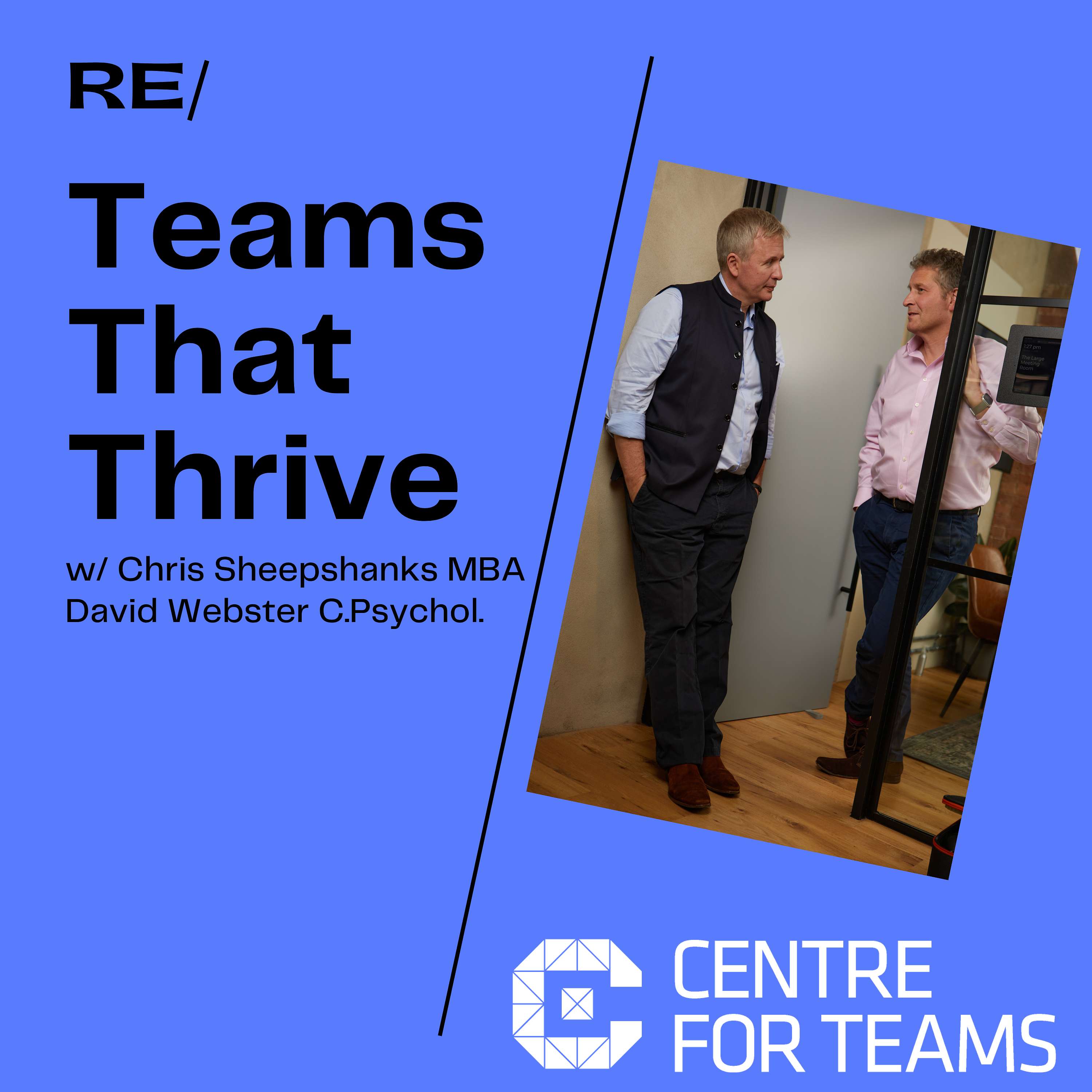 Teams That Thrive: The Psychology and Practice of Teamship