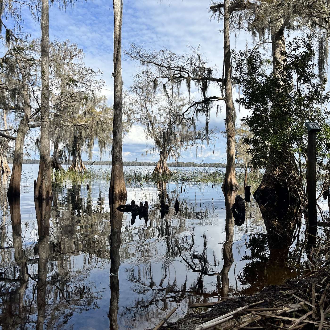 Episode 272: Florida Wildlife, Wildlife Corridors, and Favorite Florida Birds episode artwork