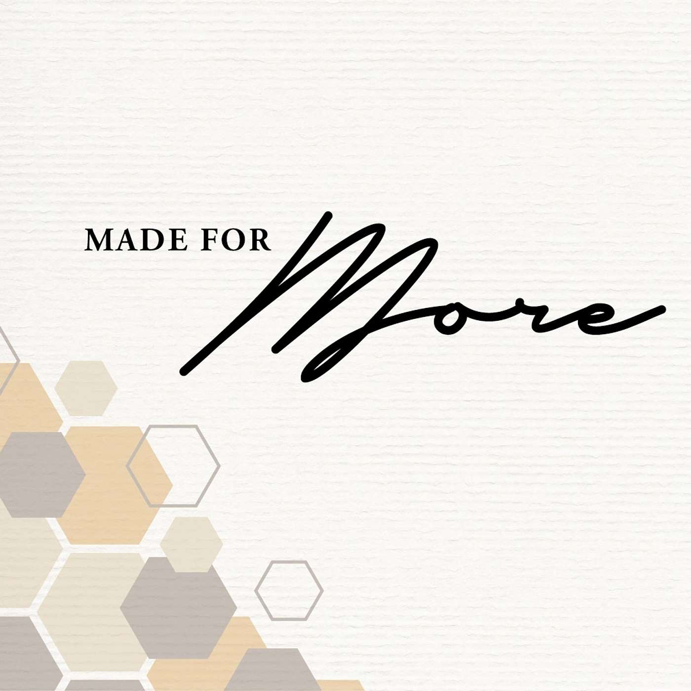 Sunday Sermon | Made For More | Dr. Phil Brassfield episode artwork