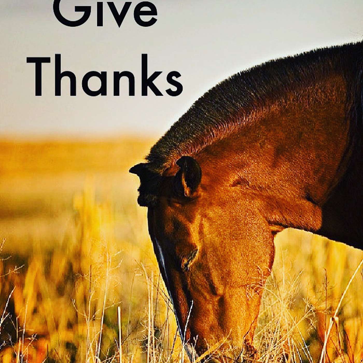 Give Thanks episode artwork