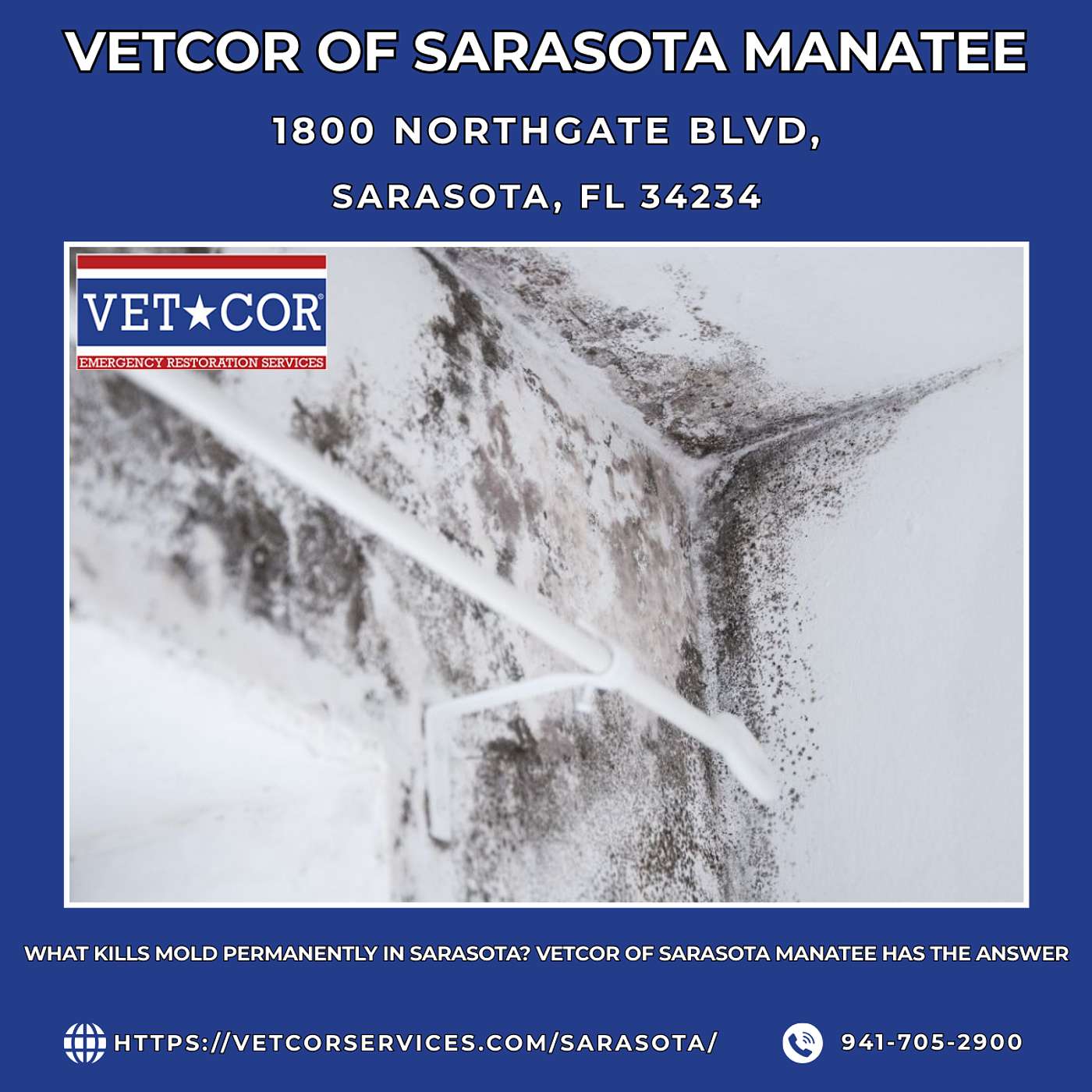 What Kills Mold Permanently in Sarasota? VetCor of Sarasota Manatee Has the Answer episode artwork