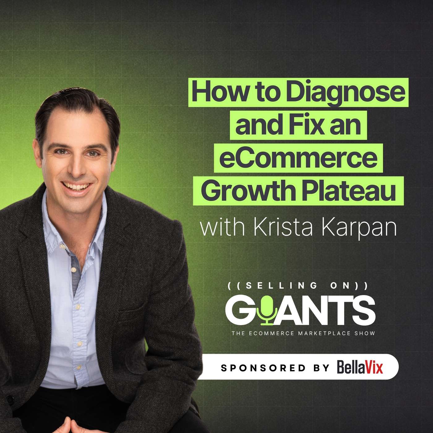 Selling on Giants: The eCommerce Marketplace Podcast