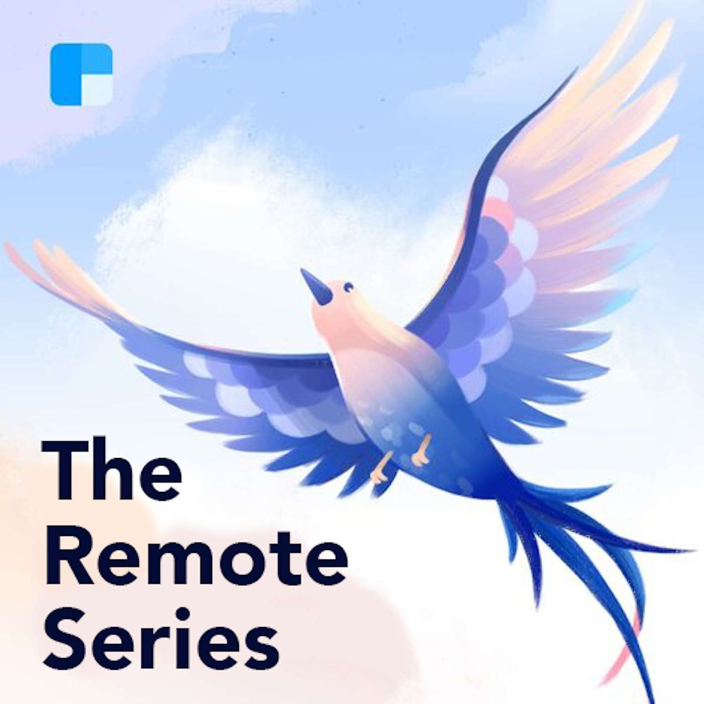 The Remote Series with Sid Sijbrandij