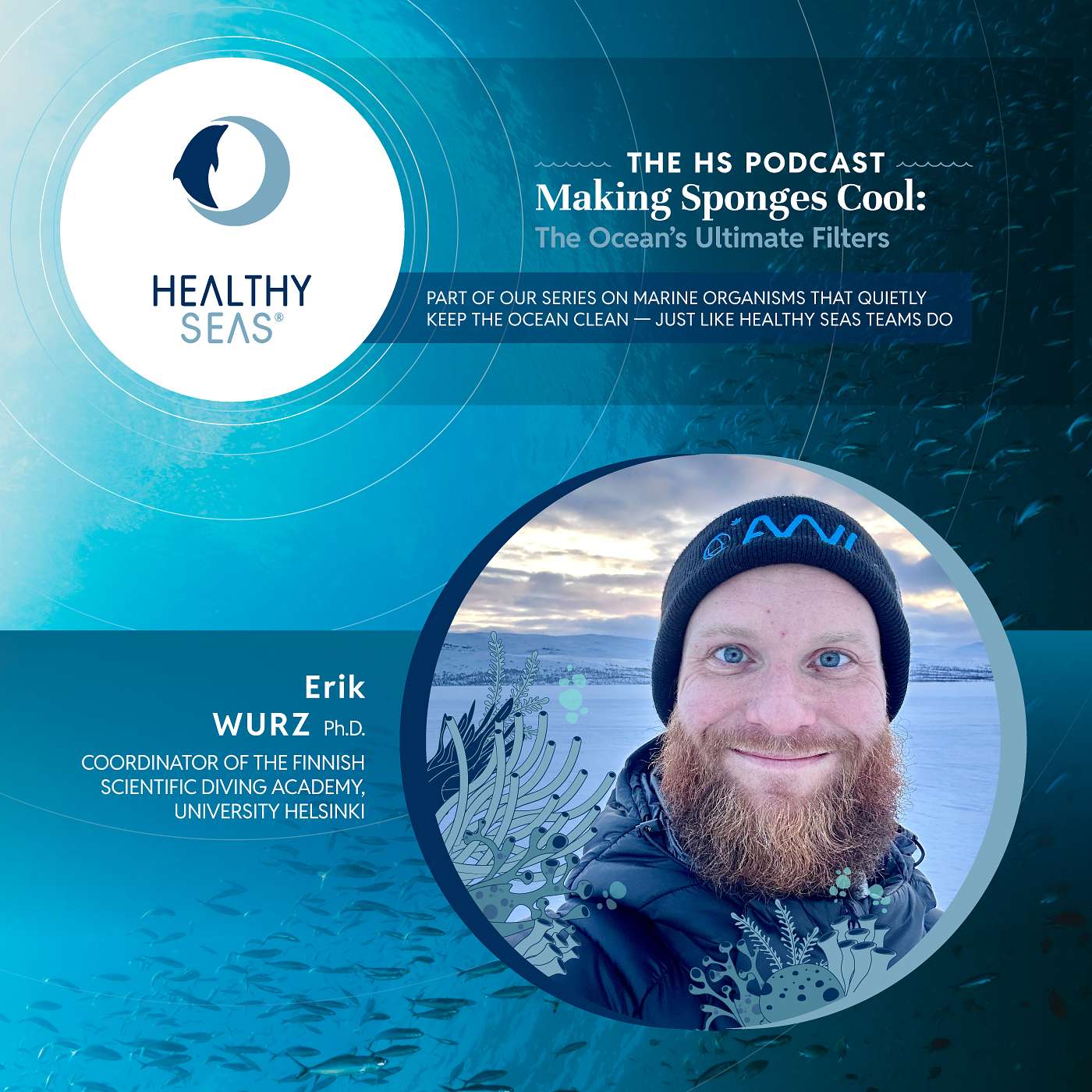 Sponges: The Quiet Animals That Clean the Ocean