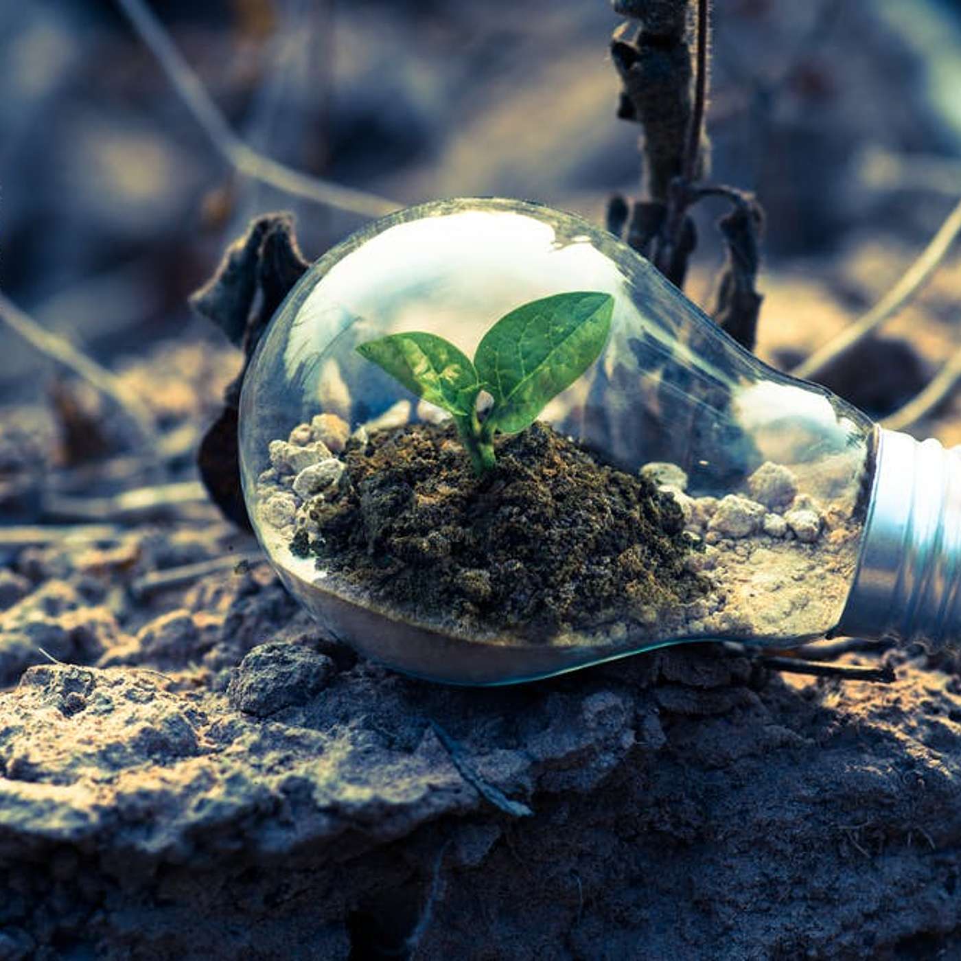The Art and Science of Thriving