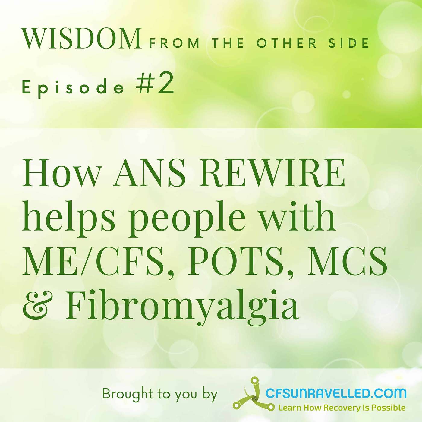 Wisdom From The Other Side Of Recovery from Fibromyalgia, ME, CFS, POTS & MCS