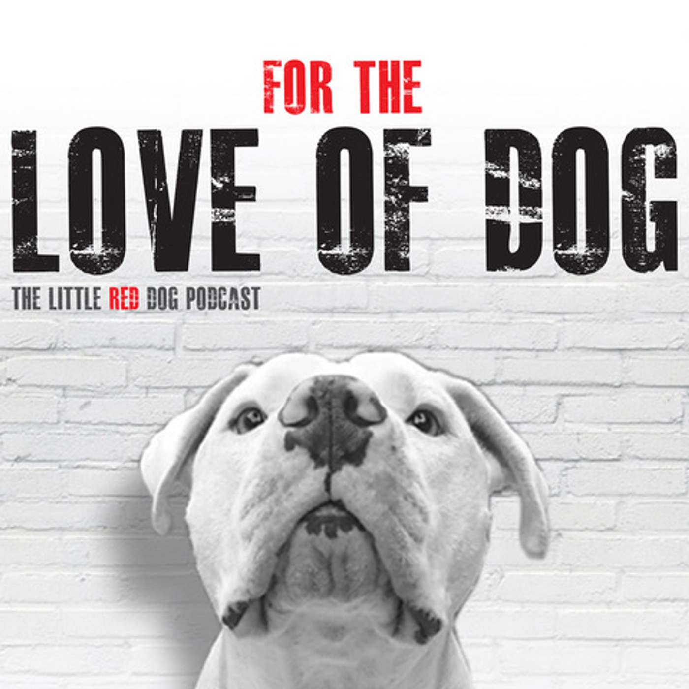 Barkin' Bracket - For the Love of Dog