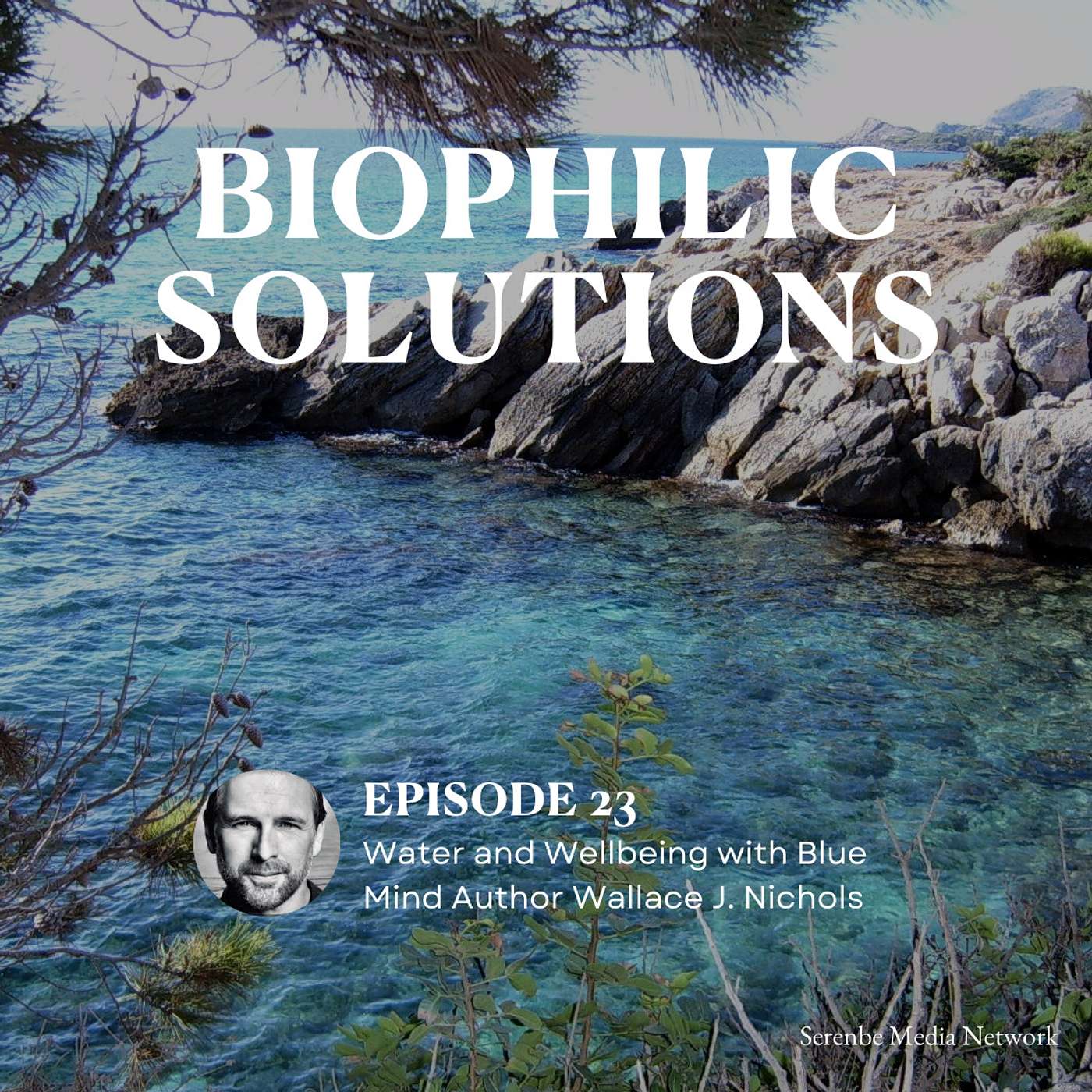 Biophilic Solutions: Nature Has the Answers