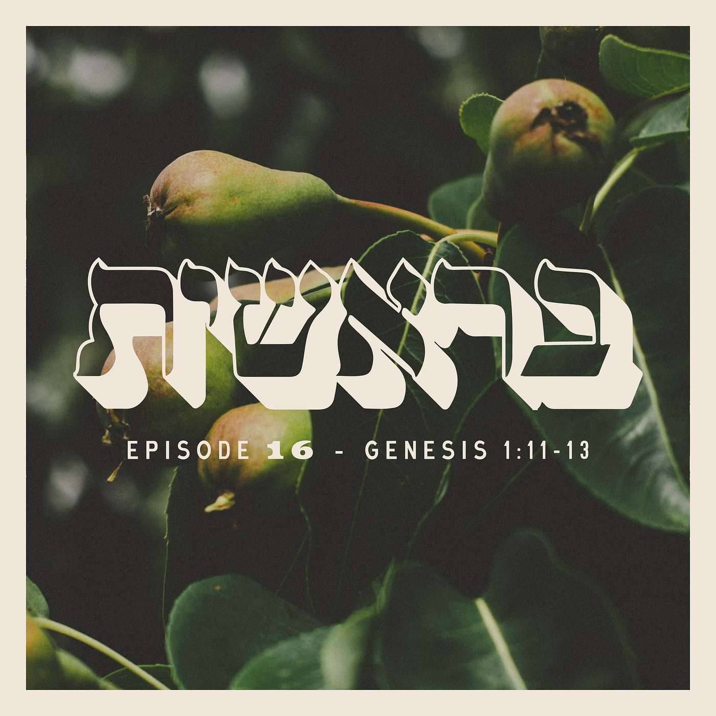EPISODE 16 - GENESIS 1:11-13