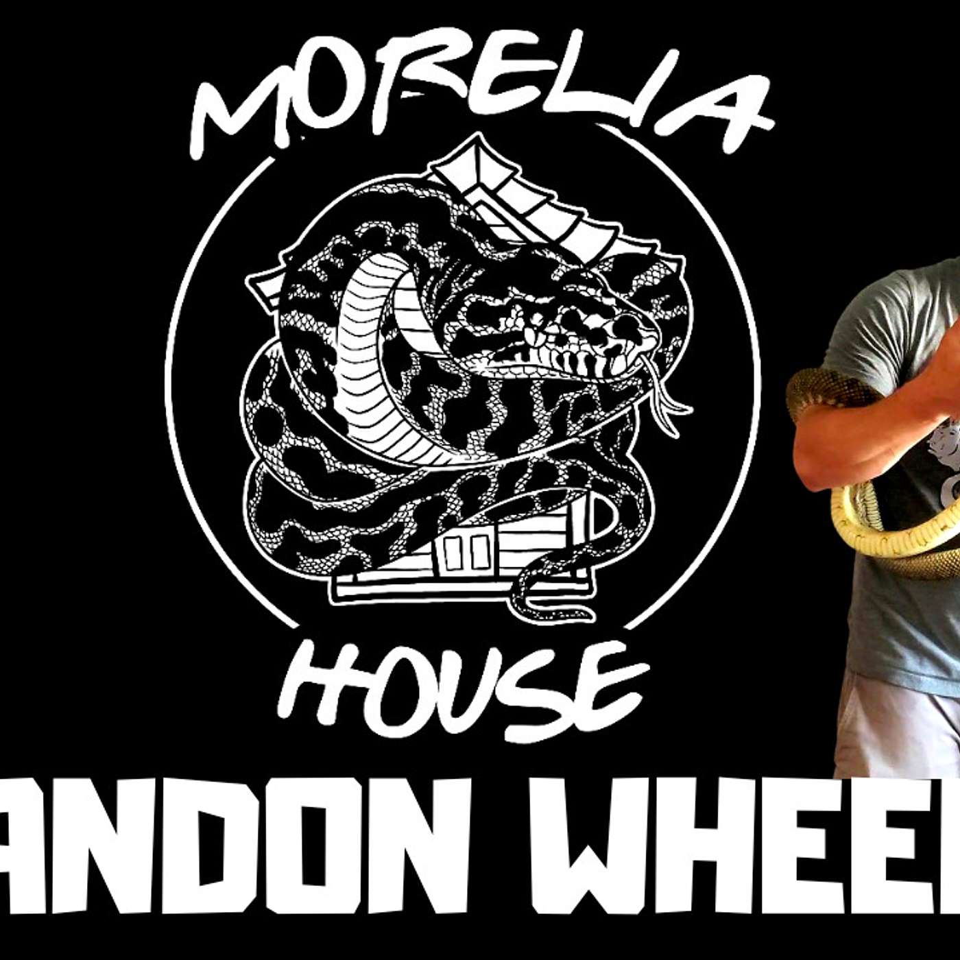 #203 BRANDON WHEELER OF MORELIA HOUSE | SCRUB PYTHON BREEDER | CARPET PYTHONS | TRAP TALK WITH MJ