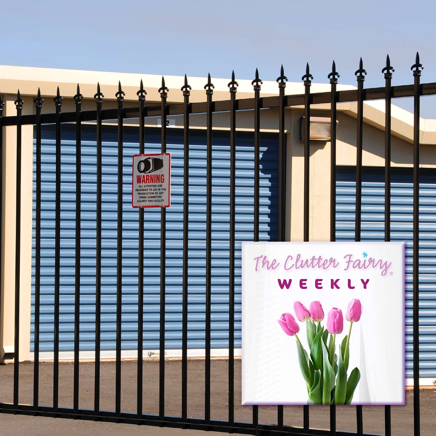 A World of Complex Choices: Ethical Considerations About Clutter - The Clutter Fairy Weekly #137