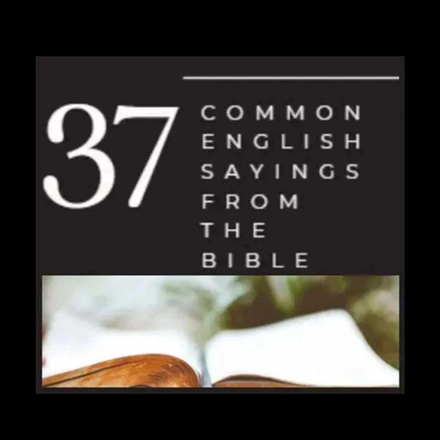 37 Common English Sayings From the Bible episode artwork
