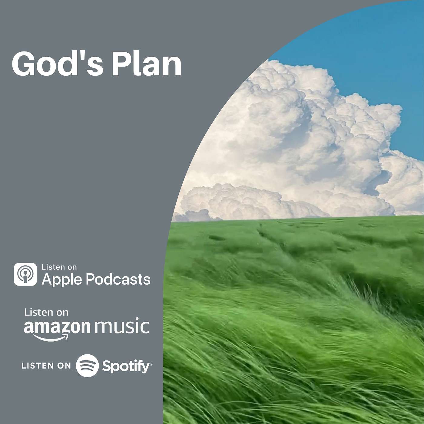God's Plan