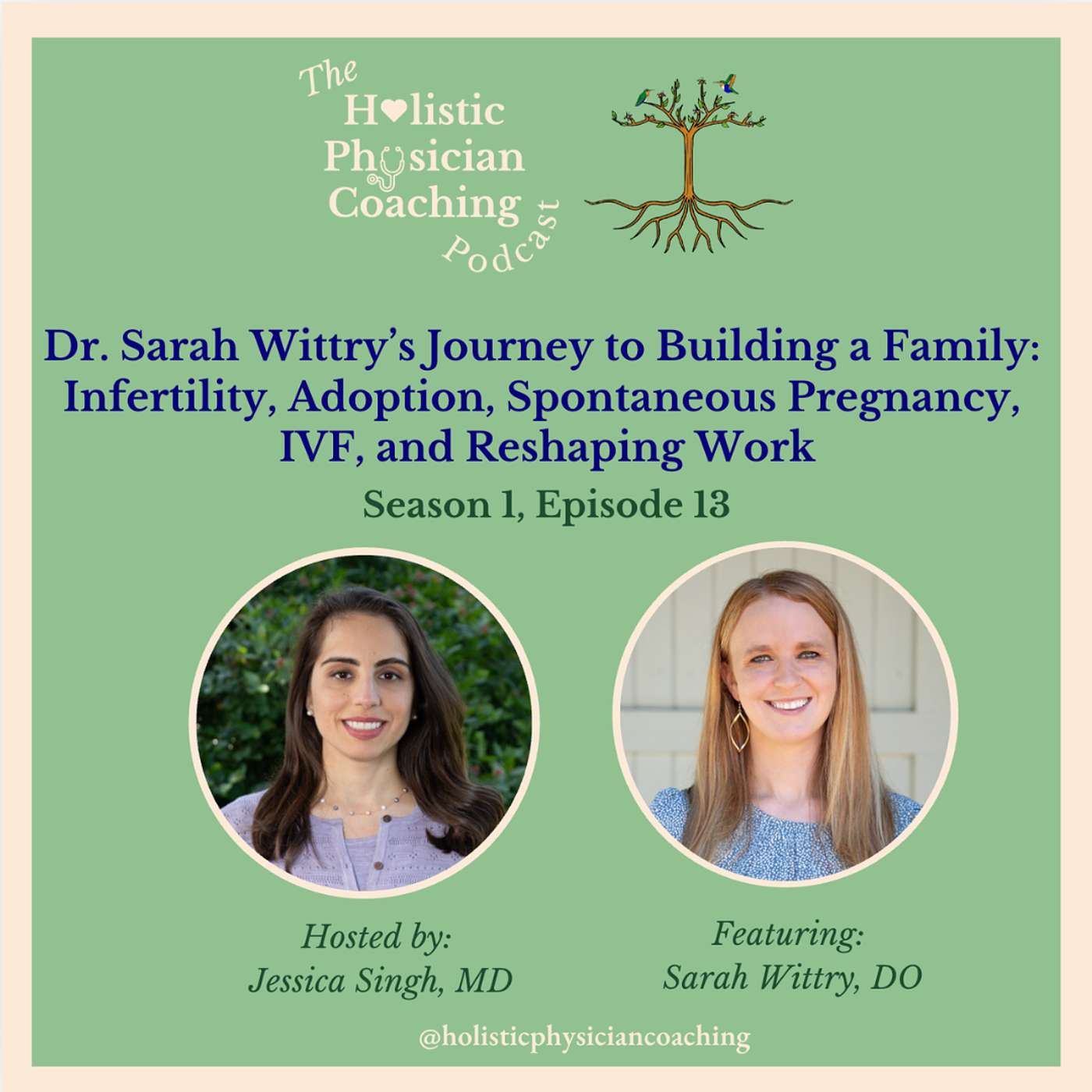 Dr. Sarah Wittry’s Journey to Building a Family: Infertility, Adoption, Spontaneous Pregnancy, IVF, and Reshaping Work episode artwork