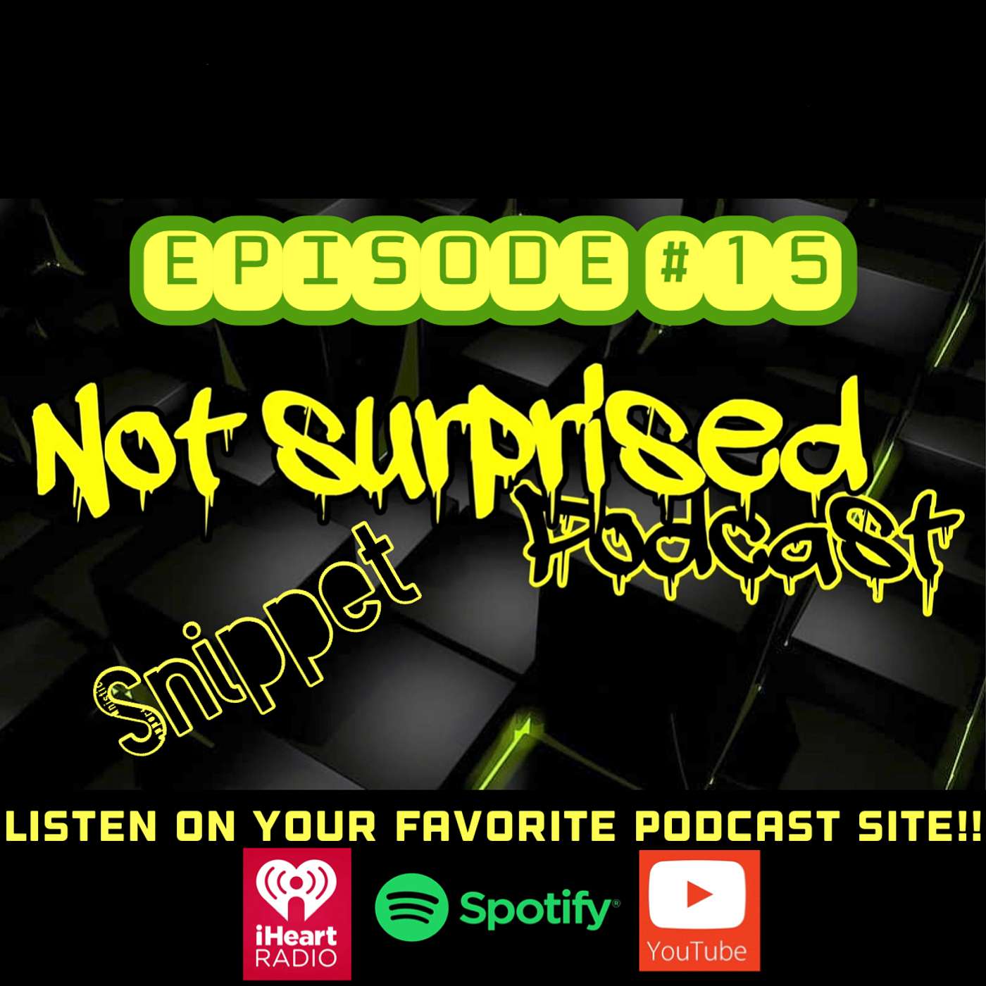 Not Surprised Podcast