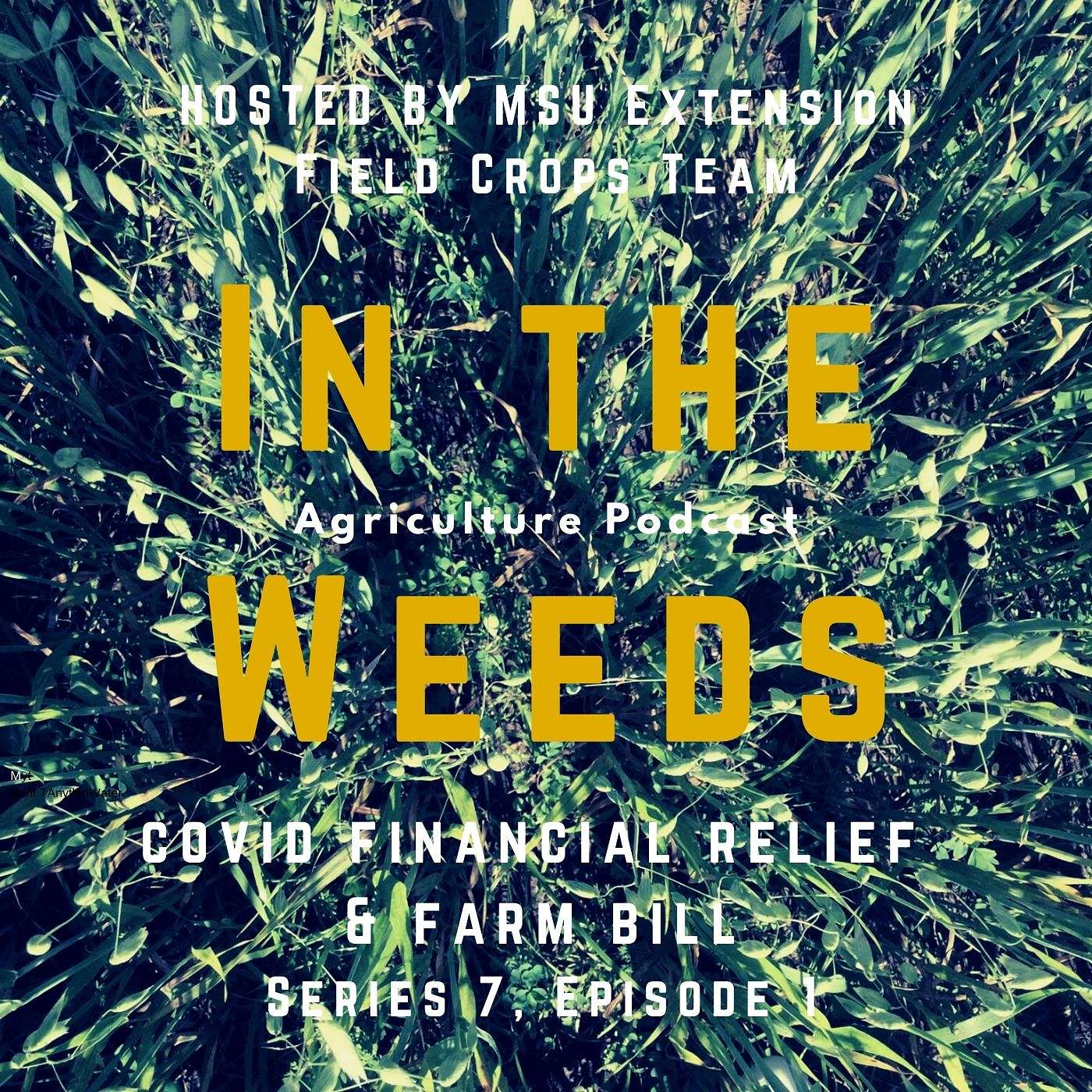 In the Weeds: COVID Financial Relief & Farm Bill: Go Sign Up!! episode artwork