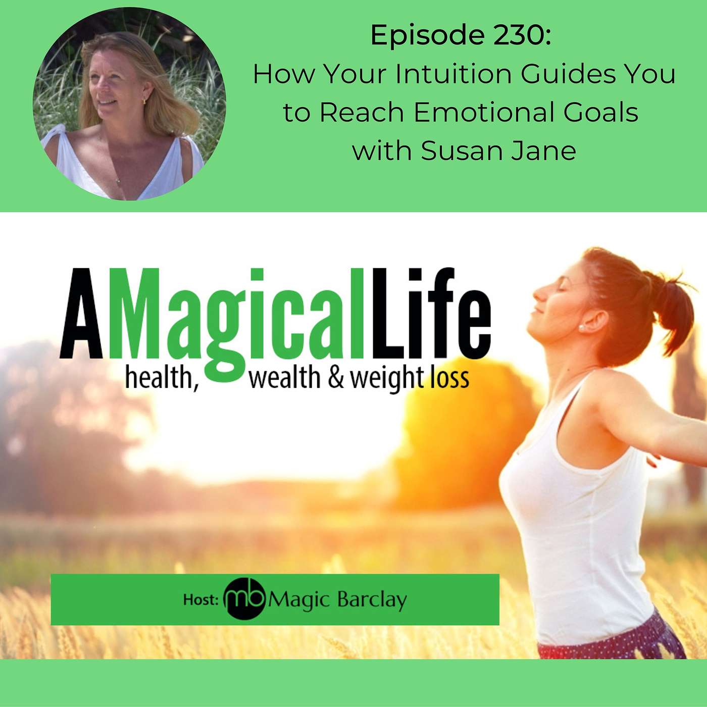 How Your Intuition Guides You to Reach Emotional Goals with Susan Jane episode artwork