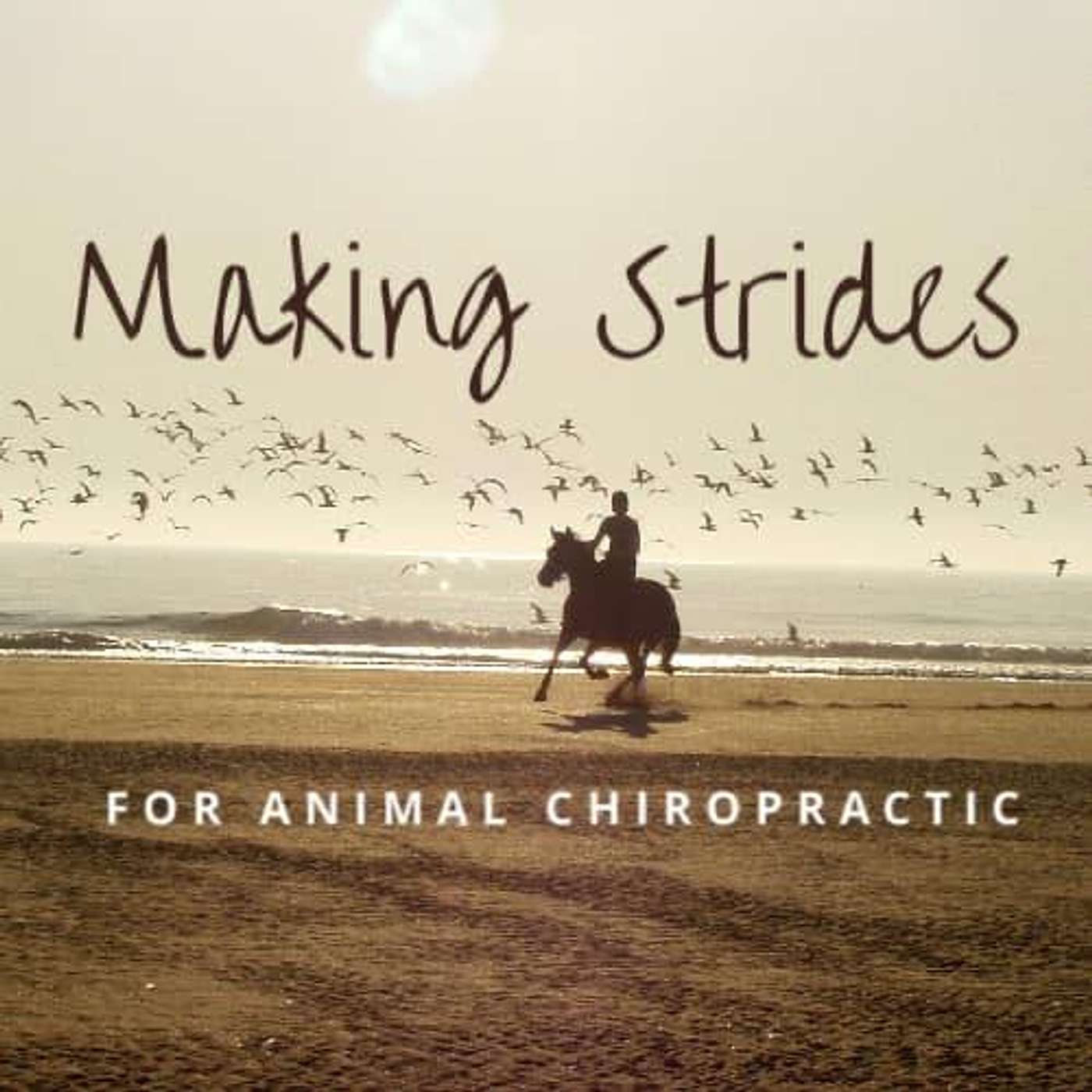 Making Strides for Animal Chiropractic