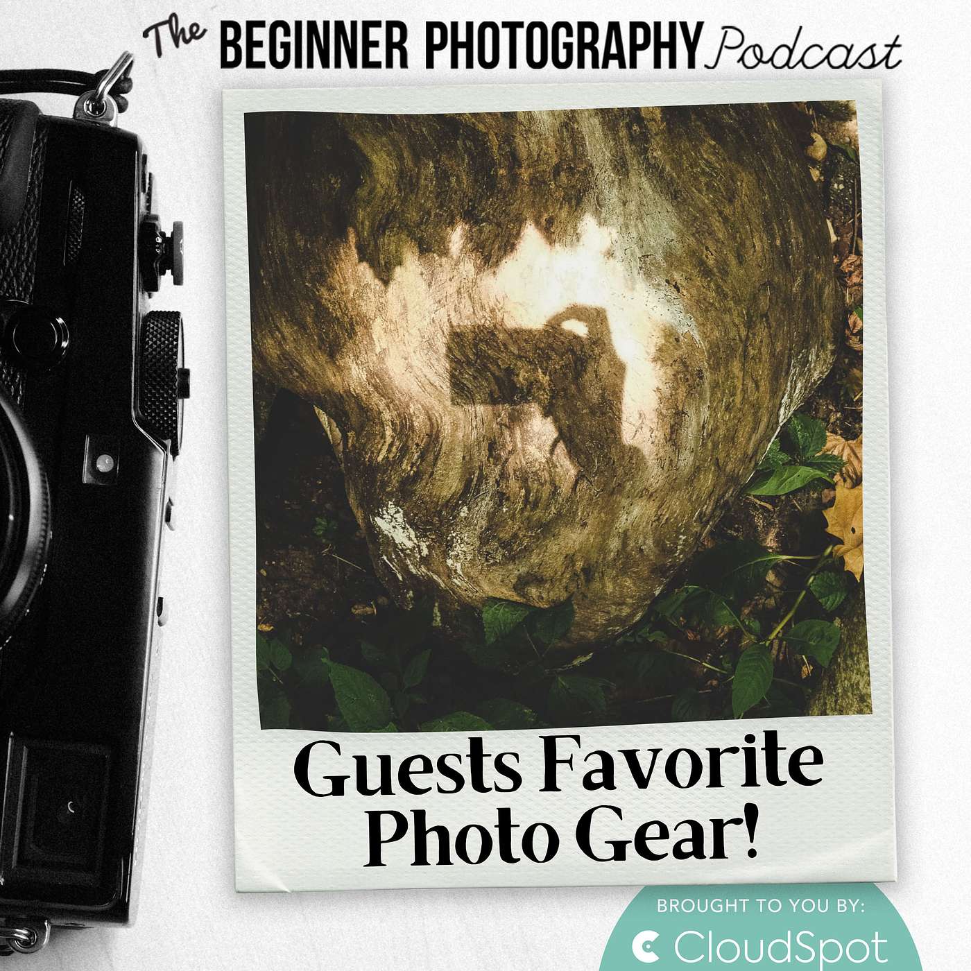 432: Guests Favorite Gear: 12 Photographers Open Their Camera Bags