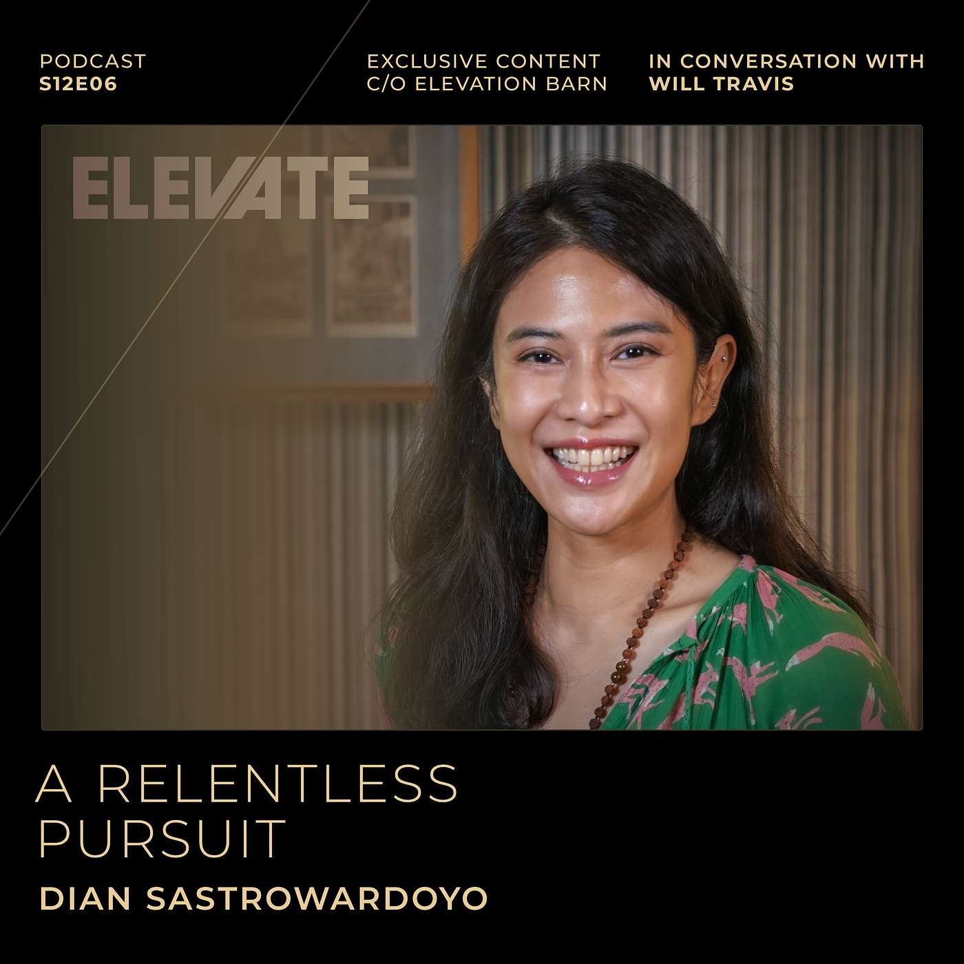 #137. A Relentless Pursuit: Leading Beyond the Roles We Play | Dian Sastrowardoyo episode artwork