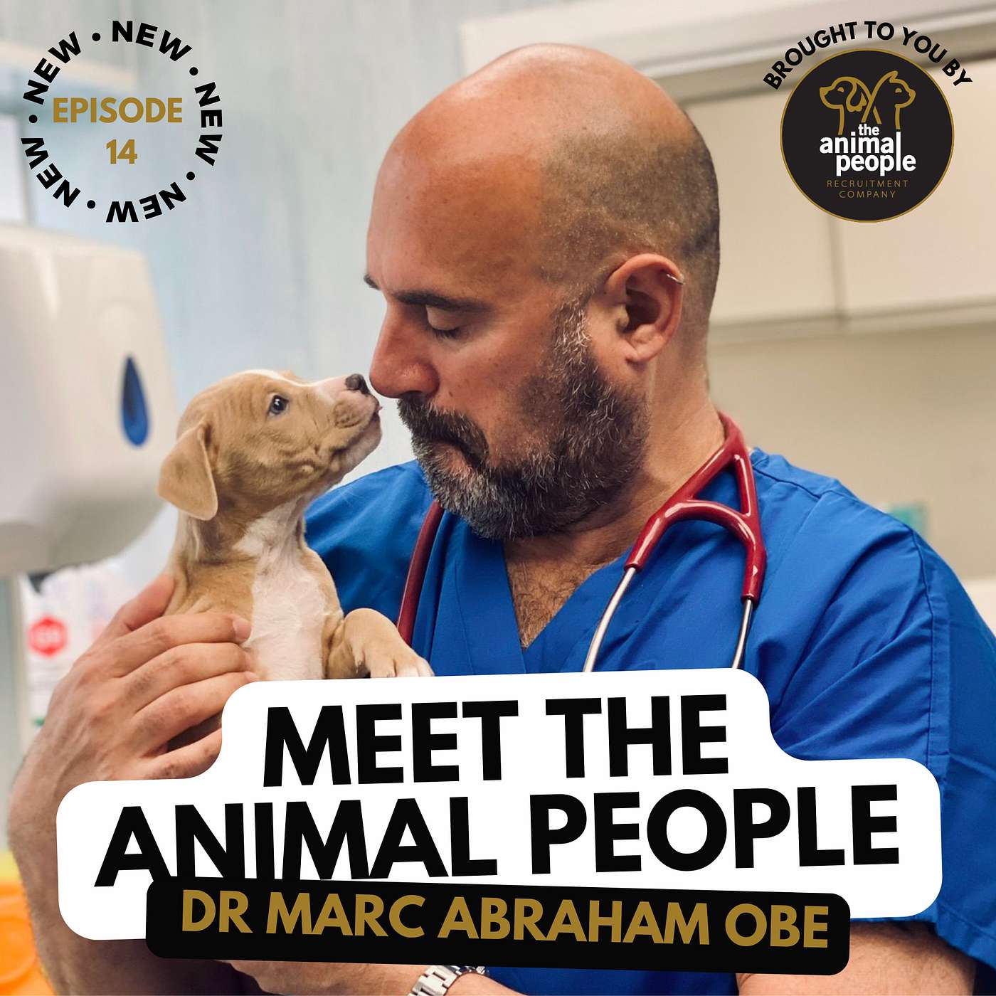Episode 14: Dr Marc Abraham OBE