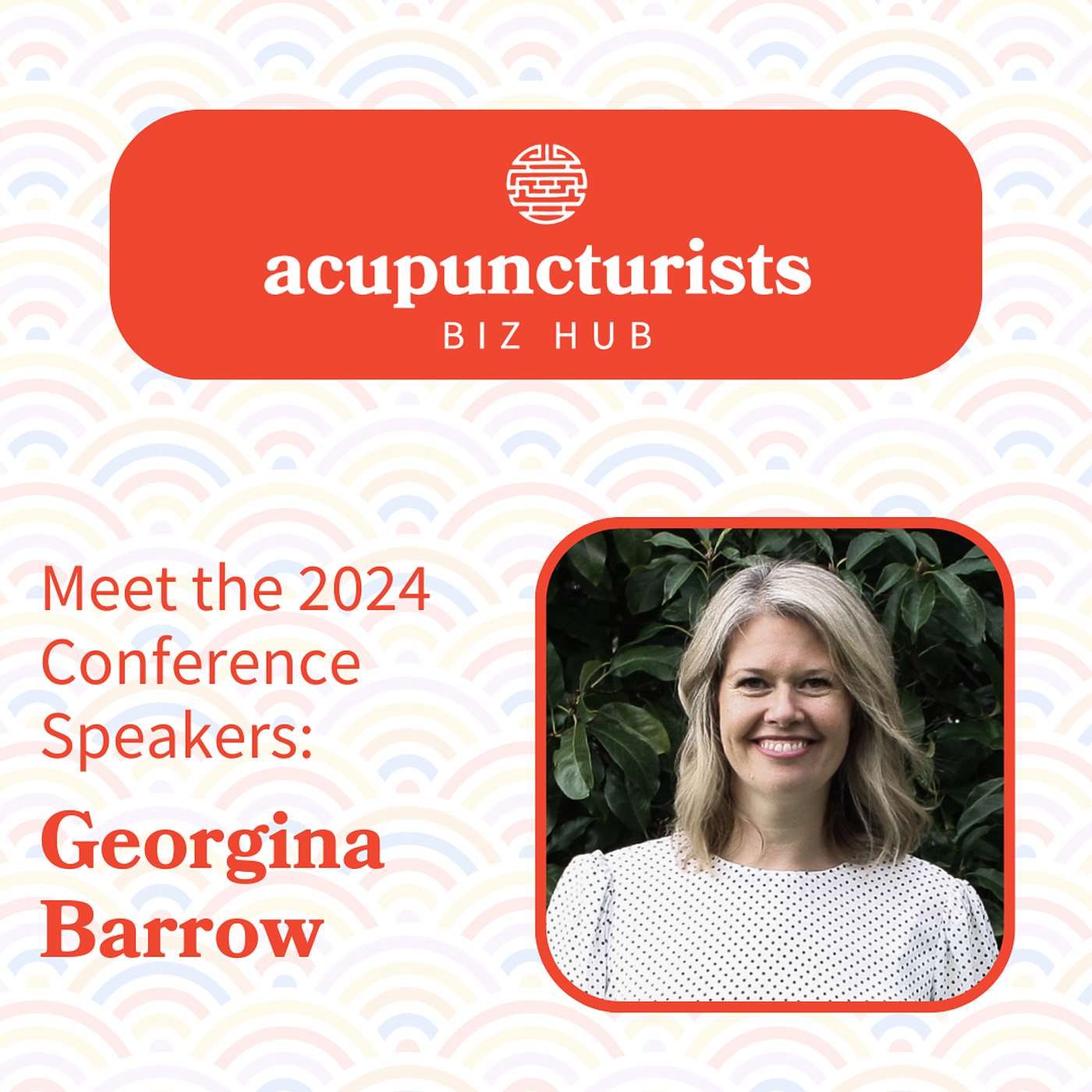The Acupuncturists Biz Hub