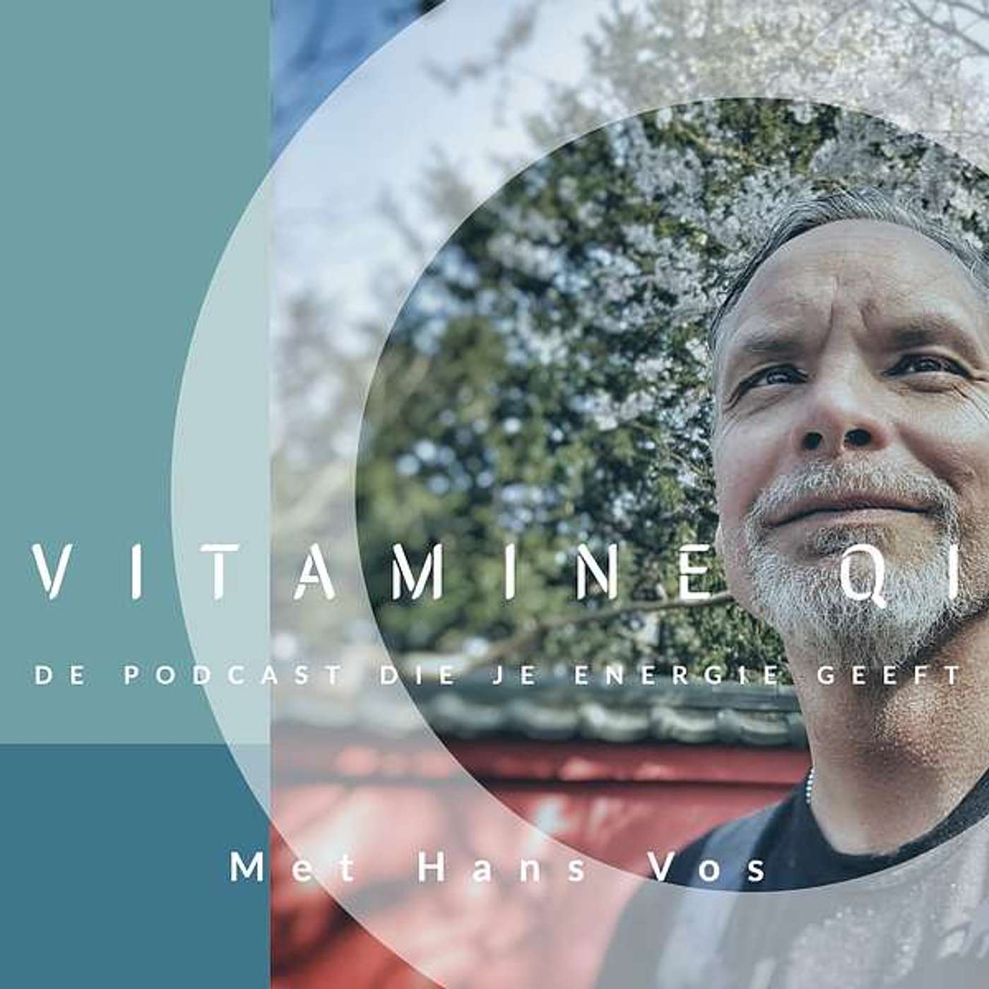 VITAMINE QI podcast artwork
