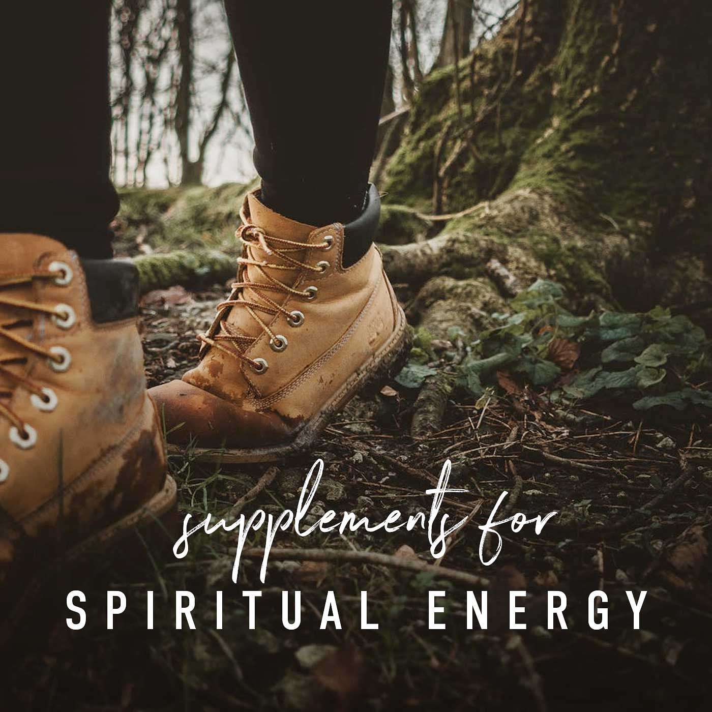 Faith Builders III: Fellowship - Supplements for Spiritual Energy episode artwork