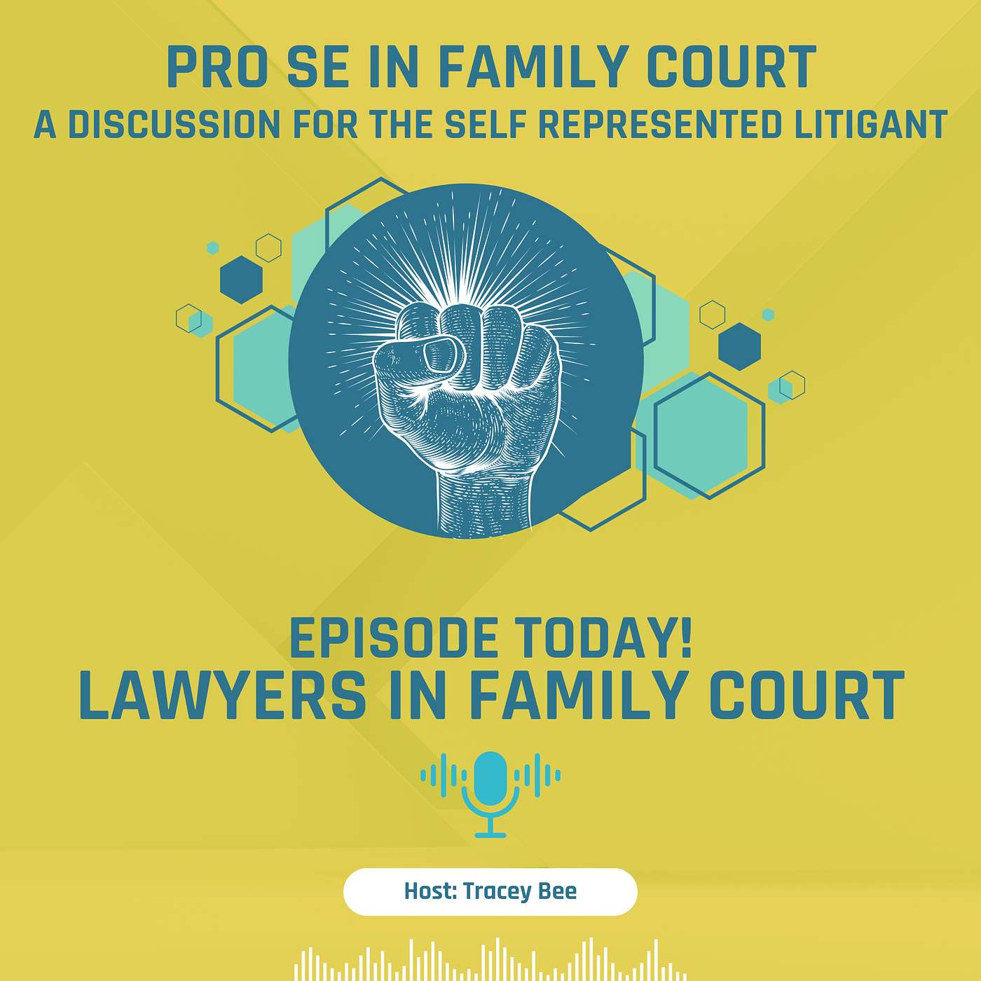 Episode 6: Lawyers in the Court episode artwork