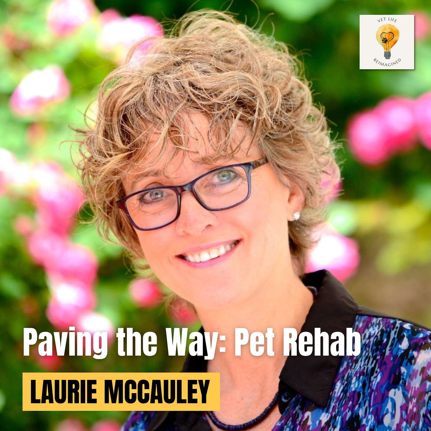 Be the Pioneer: Paving the way for Veterinary Physical Therapy (Dr. Laurie McCauley) episode artwork