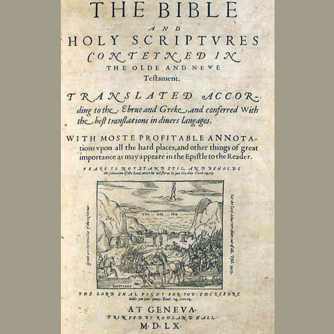 The Rise of the Protestants