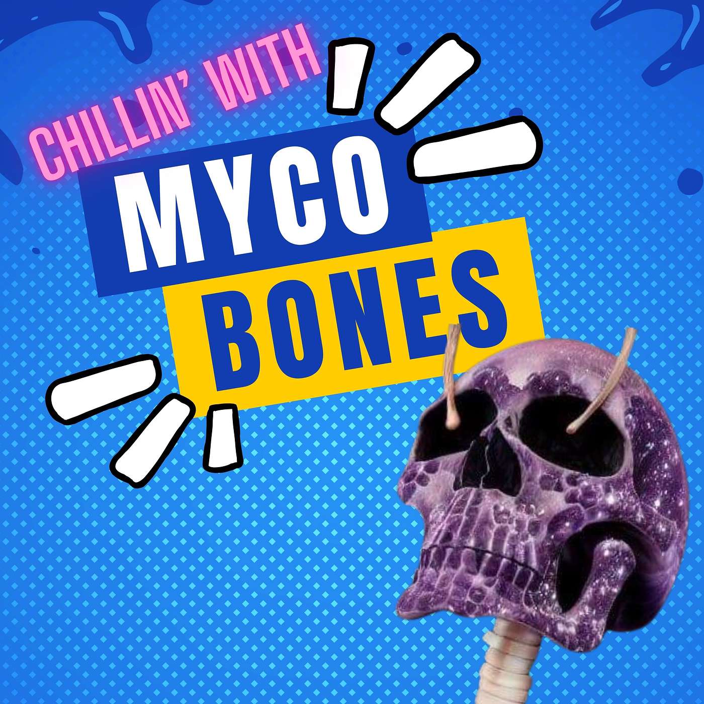 The MycoGeeky Podcast