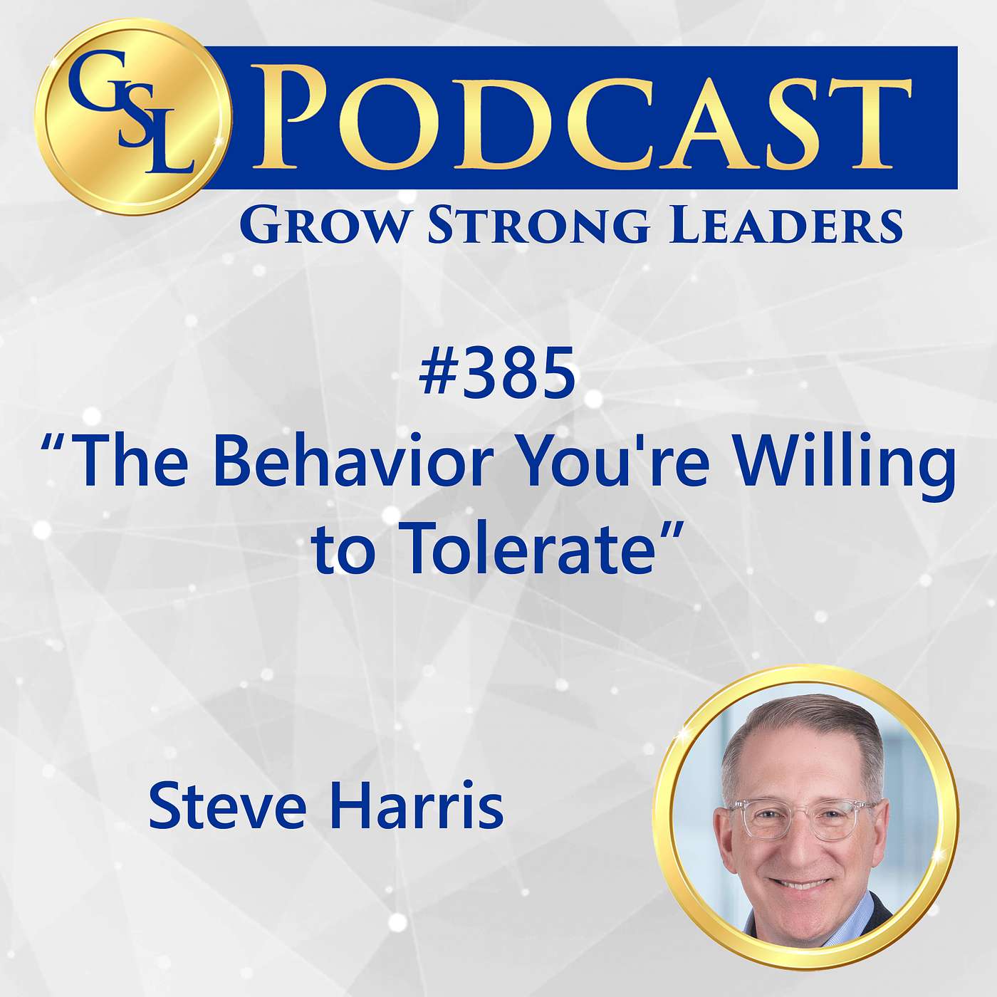 385: The Behavior You're Willing to Tolerate episode artwork