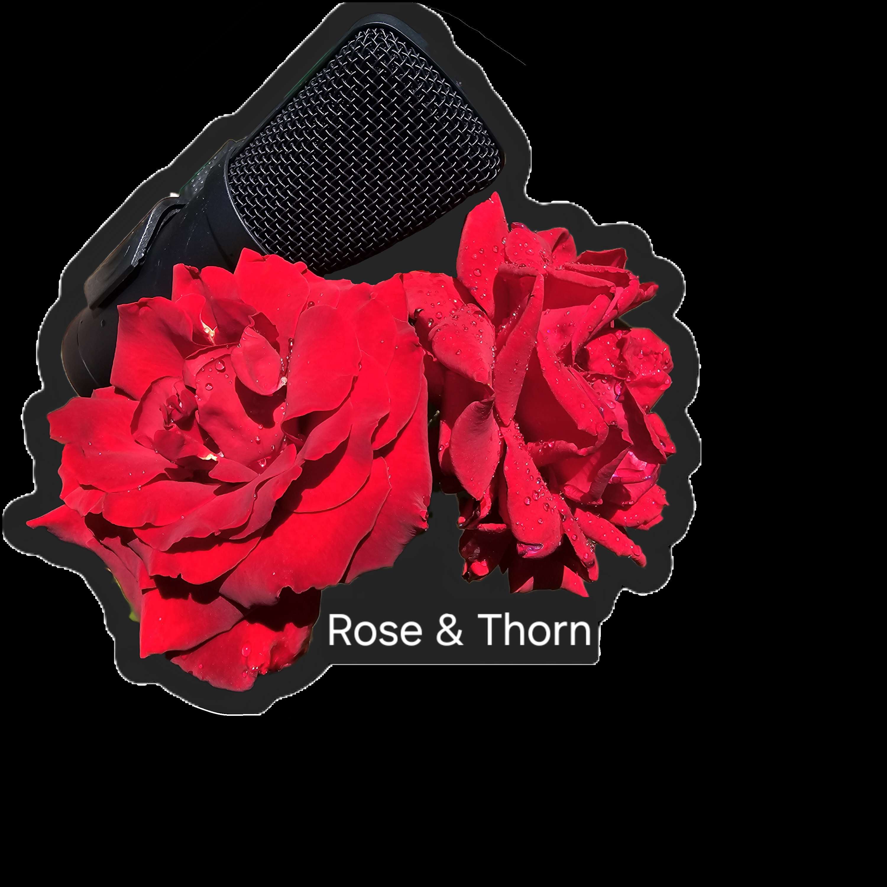 Rose and Thorn