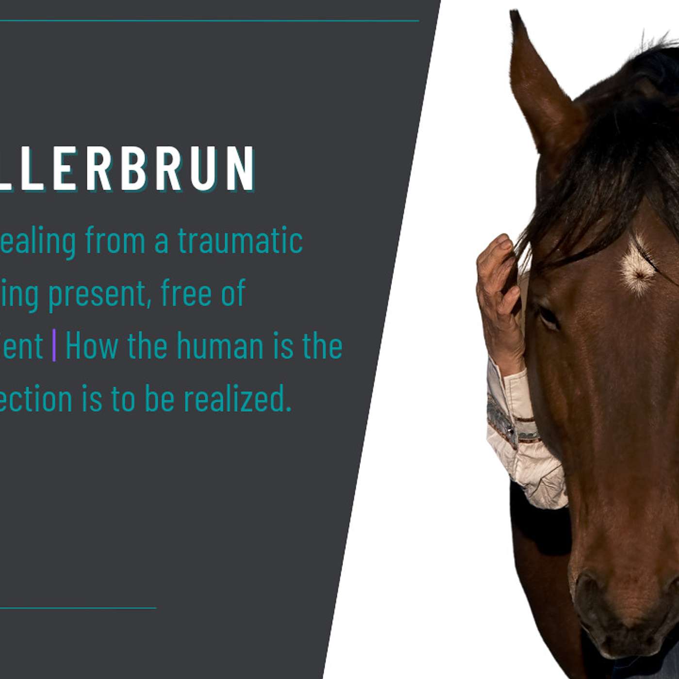 Reinforce the Horse