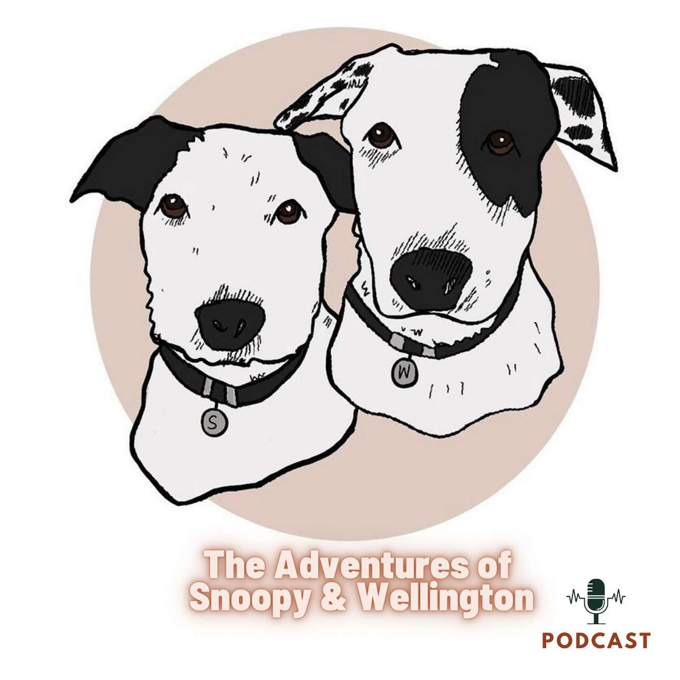 The Adventures of Snoopy & Wellington podcast artwork