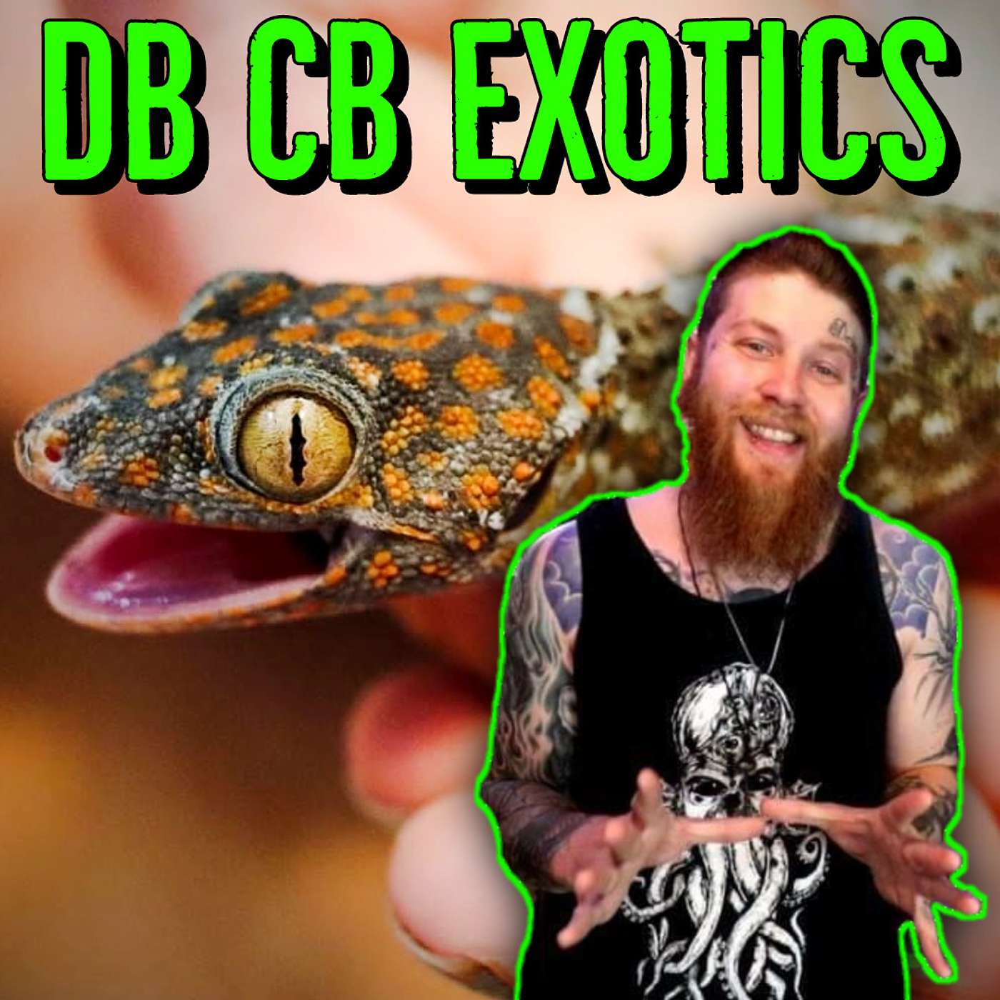 Breeding and Selling Tokay Geckos, Day Geckos and MORE w/ DB CB Exotics