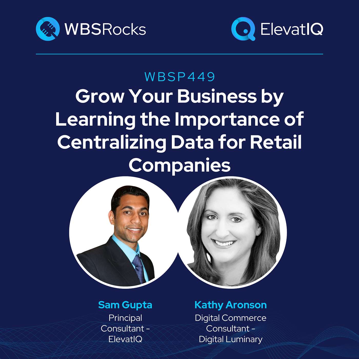 WBSP449: Grow Your Business by Learning the Importance of Centralizing Data for Retail Companies w/ Kathy Aronson
