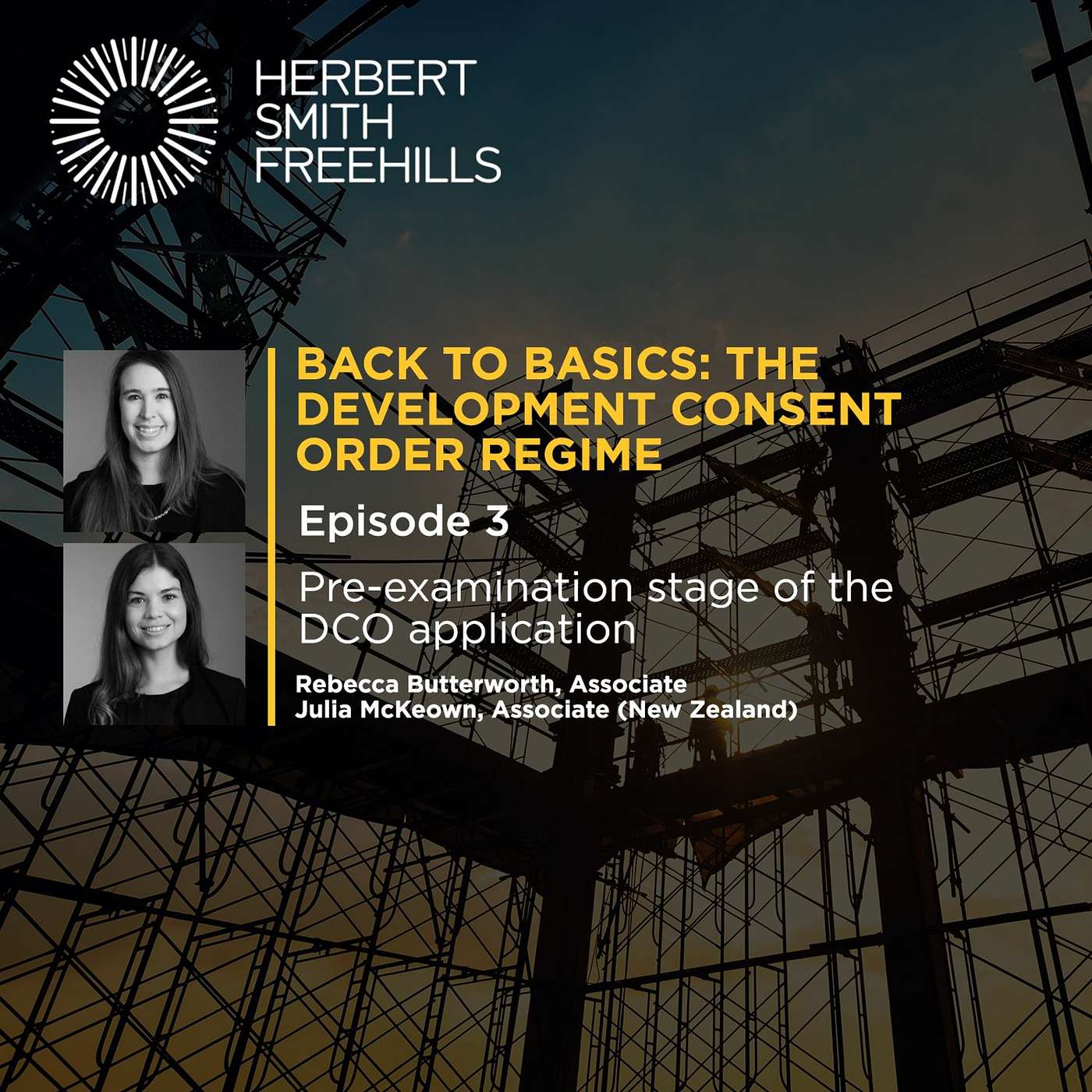 Back To Basics Podcast EP3: Pre-examination stage of the DCO application episode artwork