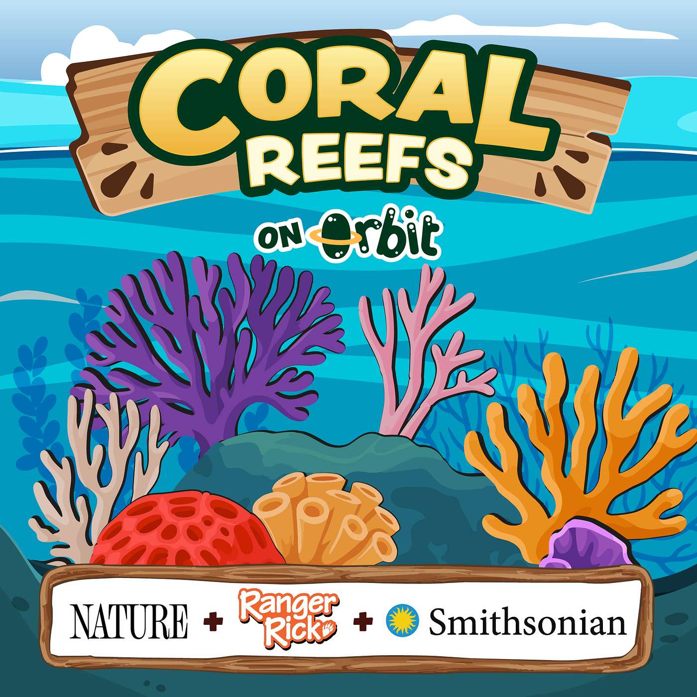 How tiny corals build underwater cities!