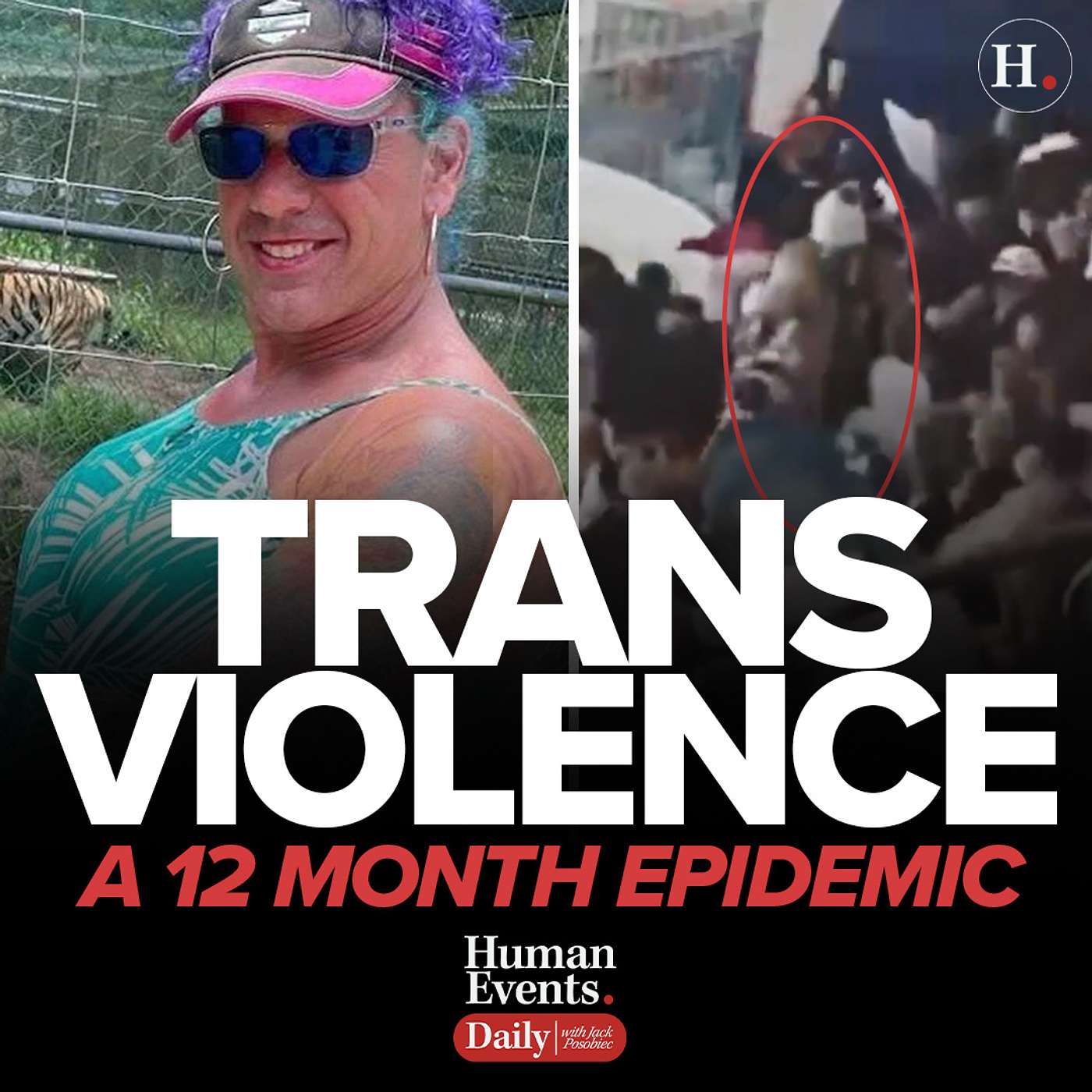 Trans Violence: A 12 Month Epidemic