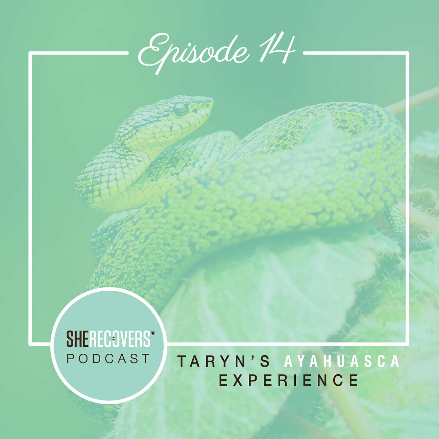 Episode 14: Taryn's Ayahuasca Experience episode artwork