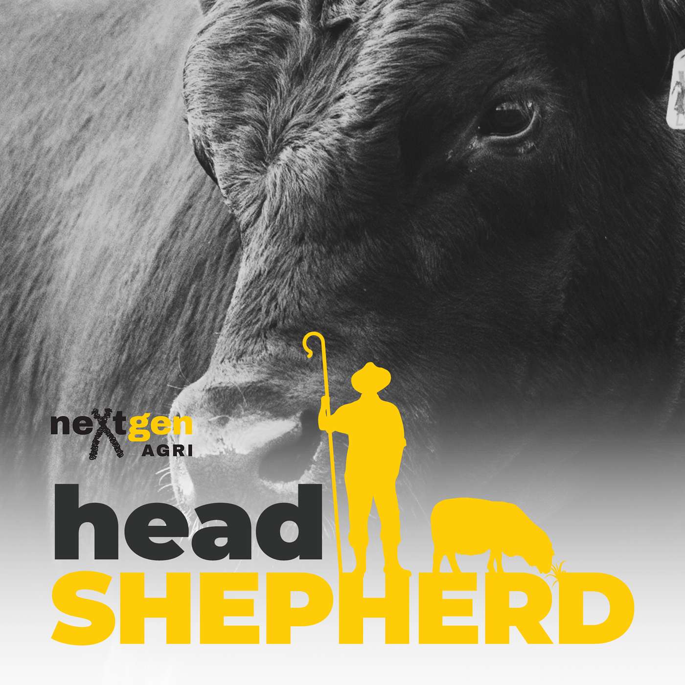 Growing More Grass and Turning It Into Growth with Bevan Ravenhill Growing More Grass and Turning It Into Growth with Bevan Ravenhill