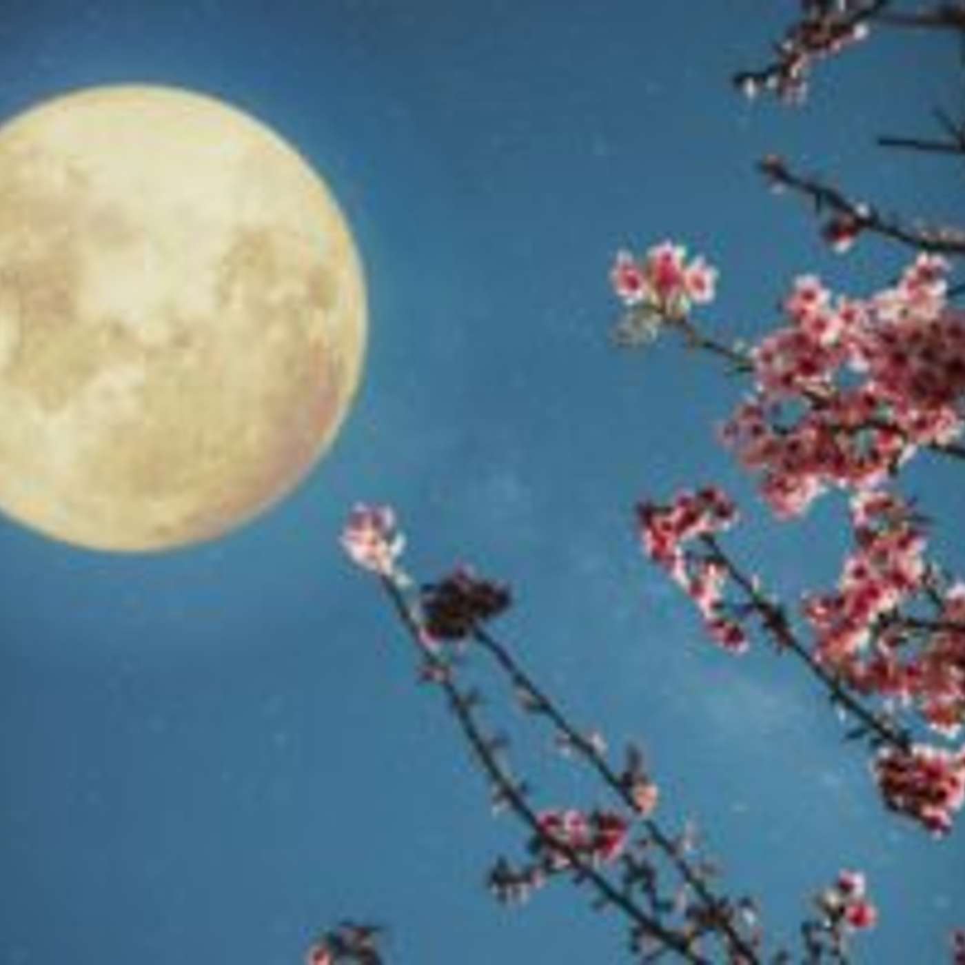 Mark Your Calendars for These Upcoming Full Moons!