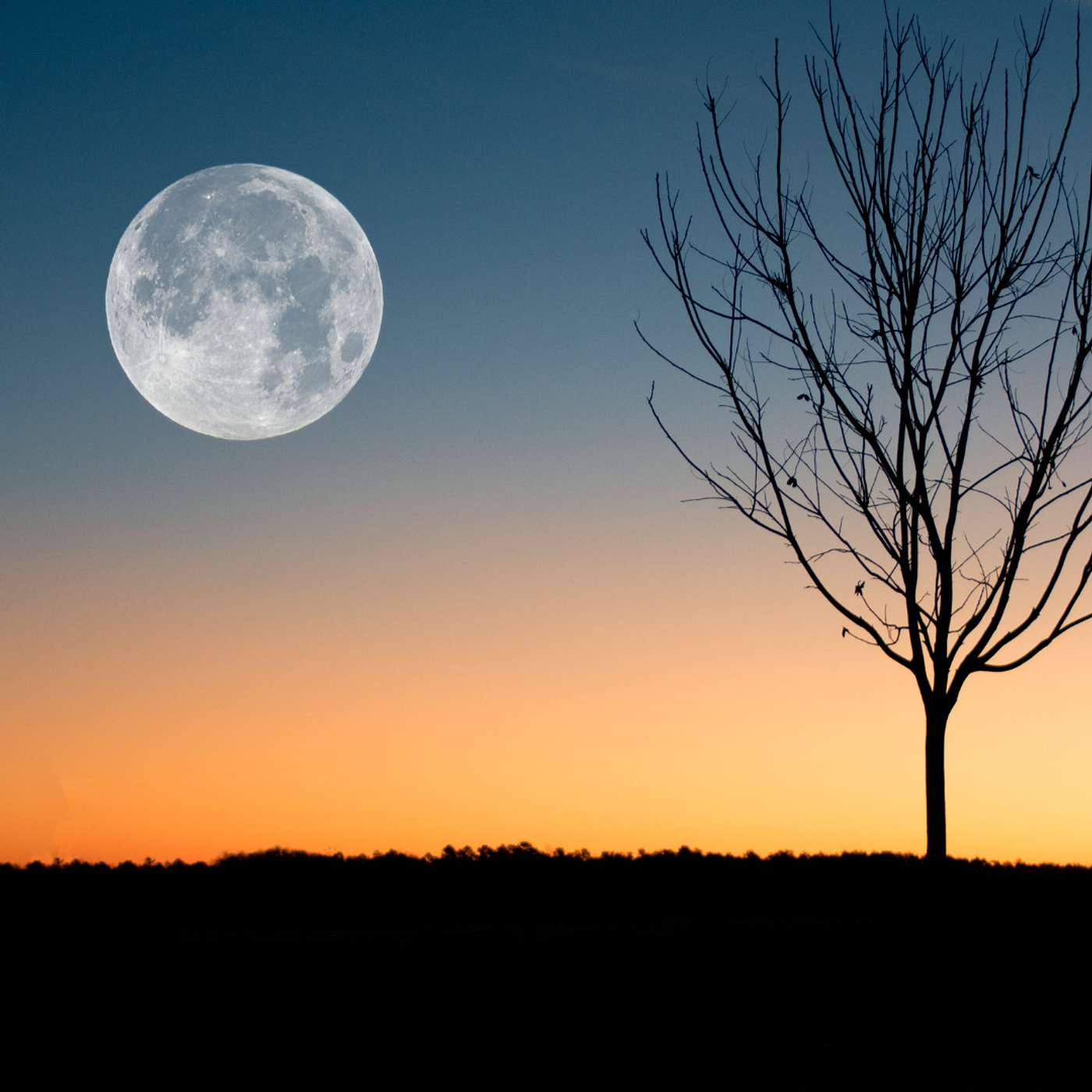 103. Volle maan meditatie november 2023: landen in je lichaam episode artwork