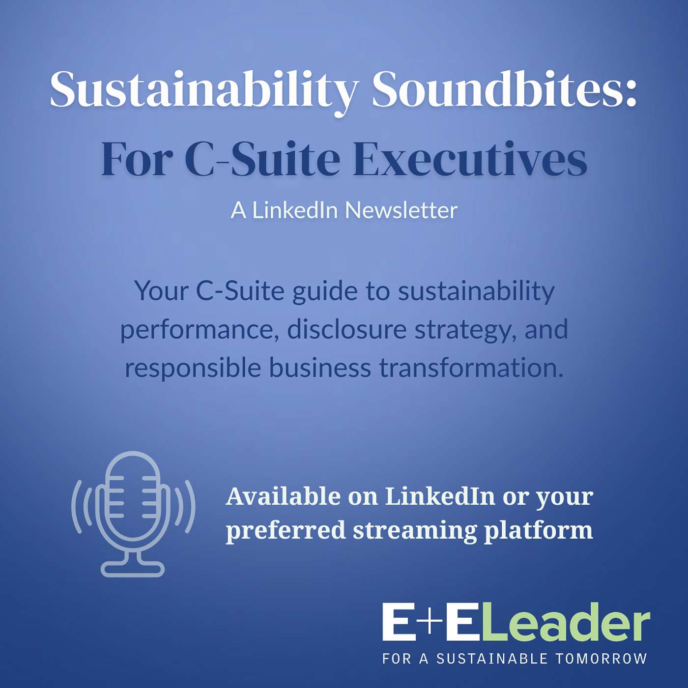 Sustainability Soundbites: For C-Suite Executives