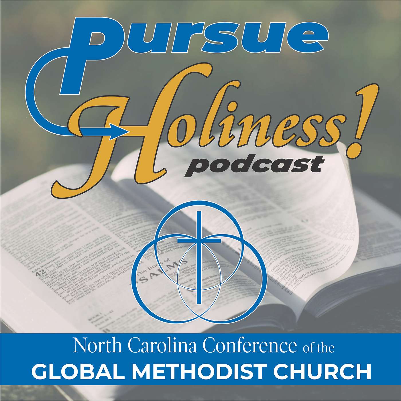 Pursue Holiness